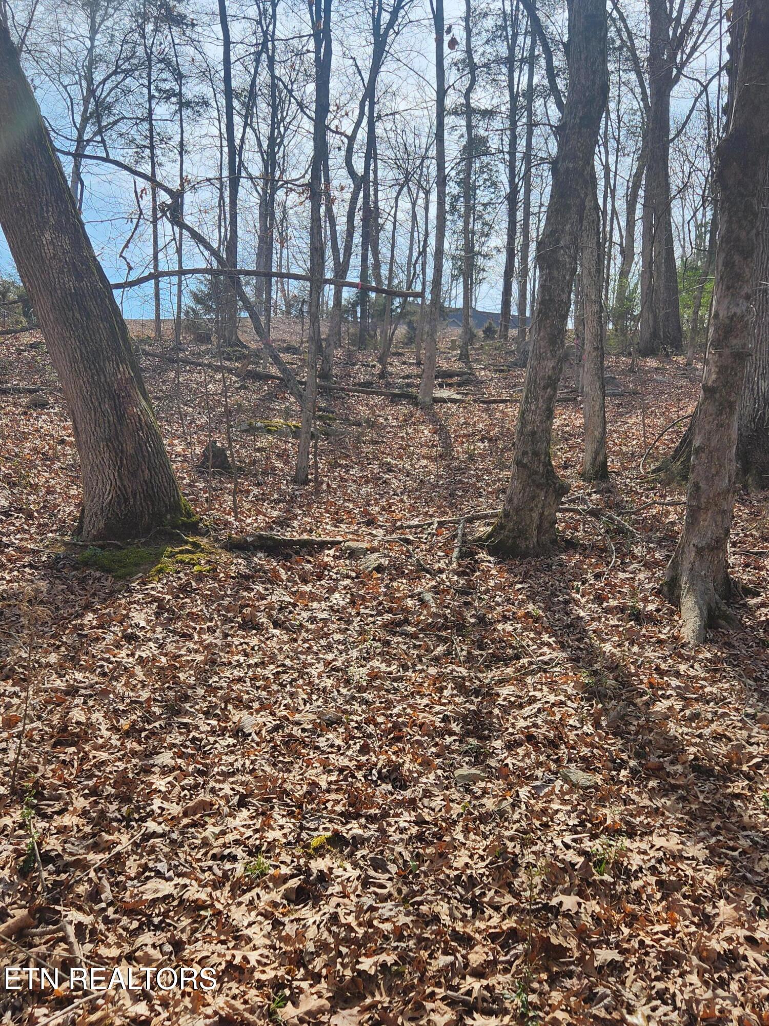 Lot 39 E Shore Drive Rockwood TN 37854