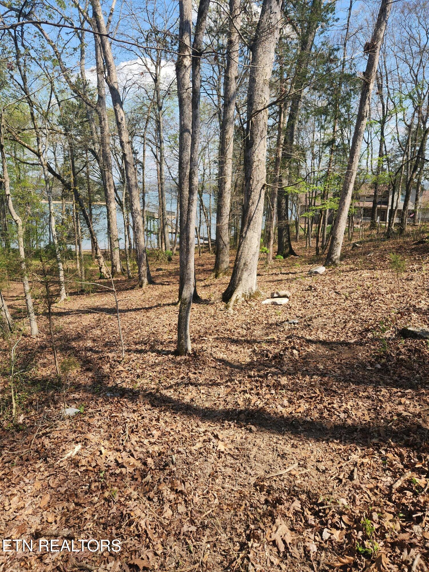 Lot 39 E Shore Drive Rockwood TN 37854