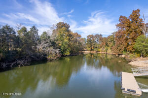 Lot 41 Espalier Drive Decatur TN 37322