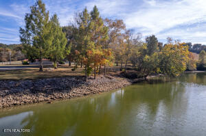 Lot 41 Espalier Drive Decatur TN 37322