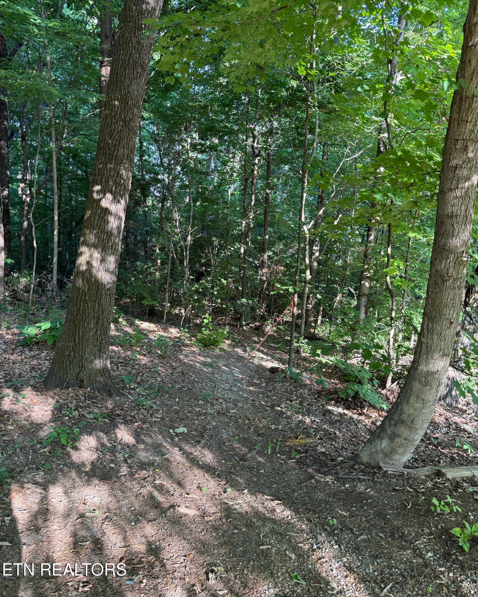 0 Ridgemont Drive Knoxville TN 37918