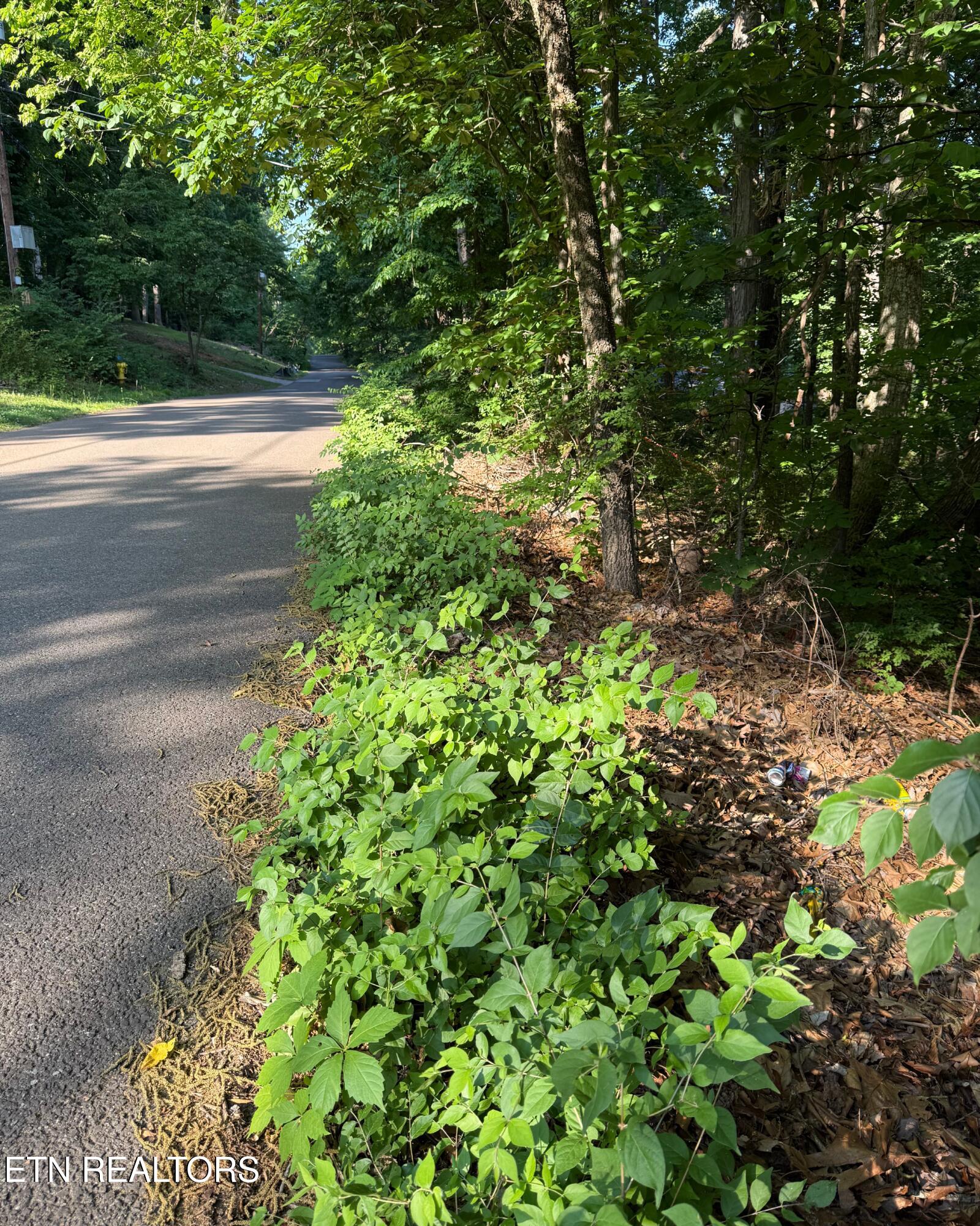 0 Ridgemont Drive Knoxville TN 37918
