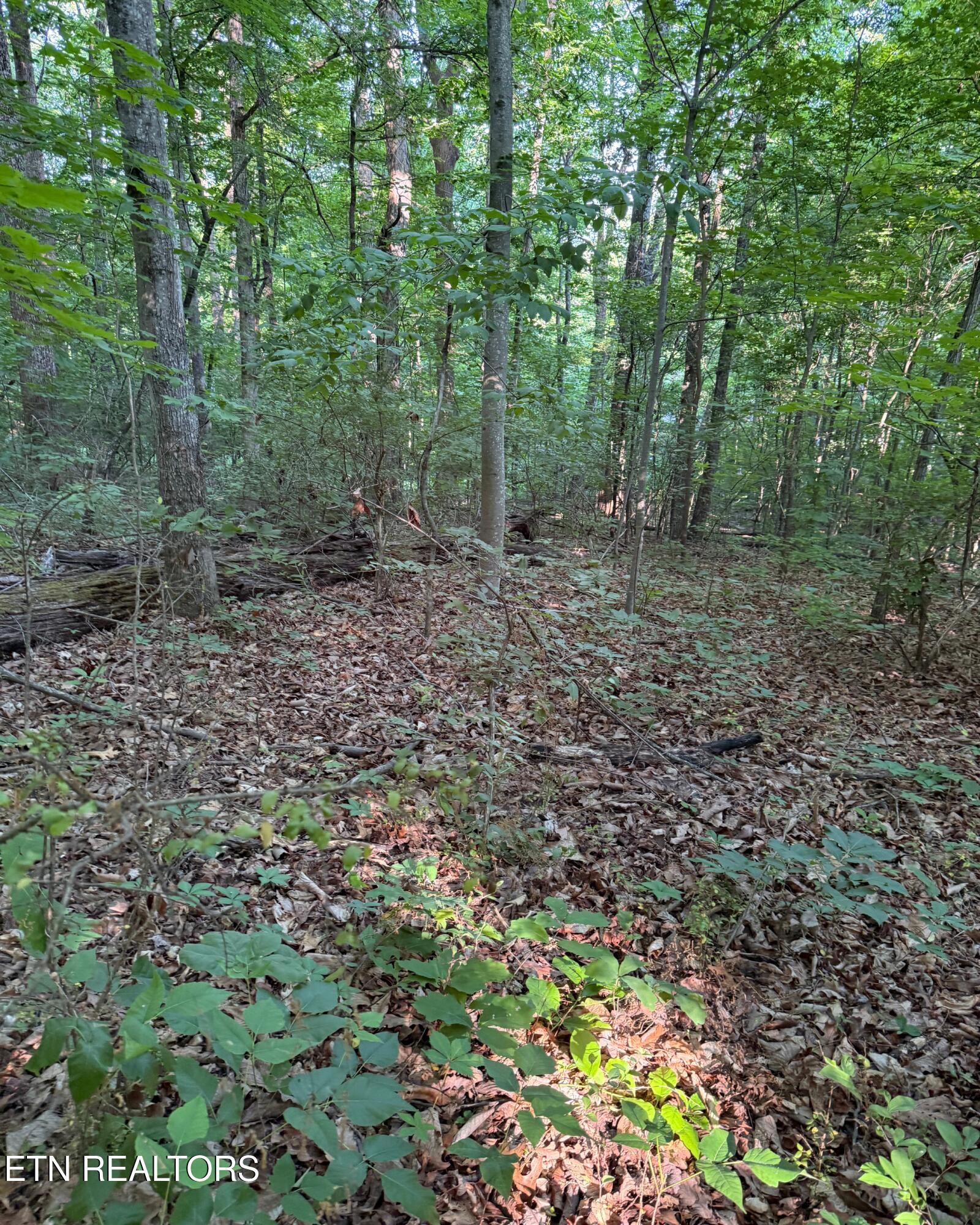 0 Ridgemont Drive Knoxville TN 37918