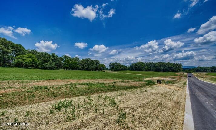 Lot 9r 848 Sophie Drive Greenback TN 37742