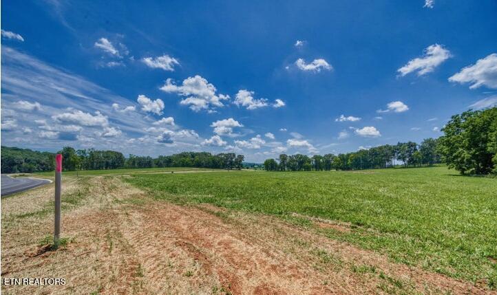 Lot 9r 848 Sophie Drive Greenback TN 37742