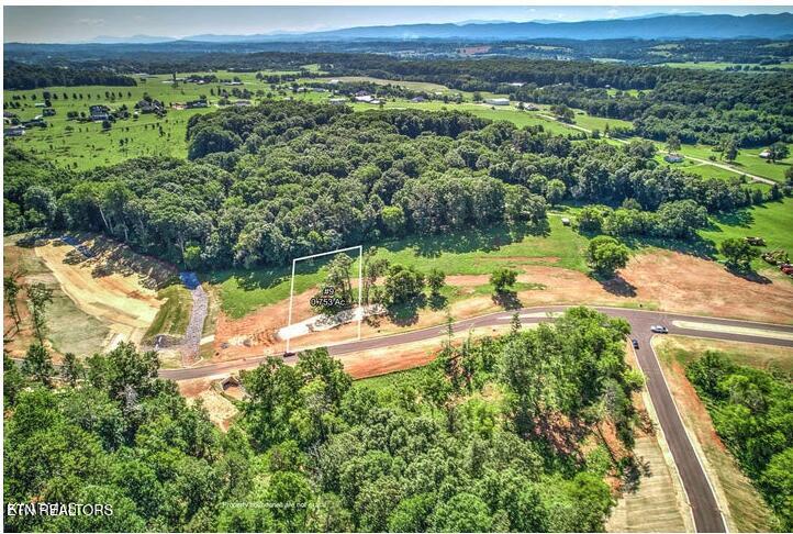 Lot 9r 848 Sophie Drive Greenback TN 37742