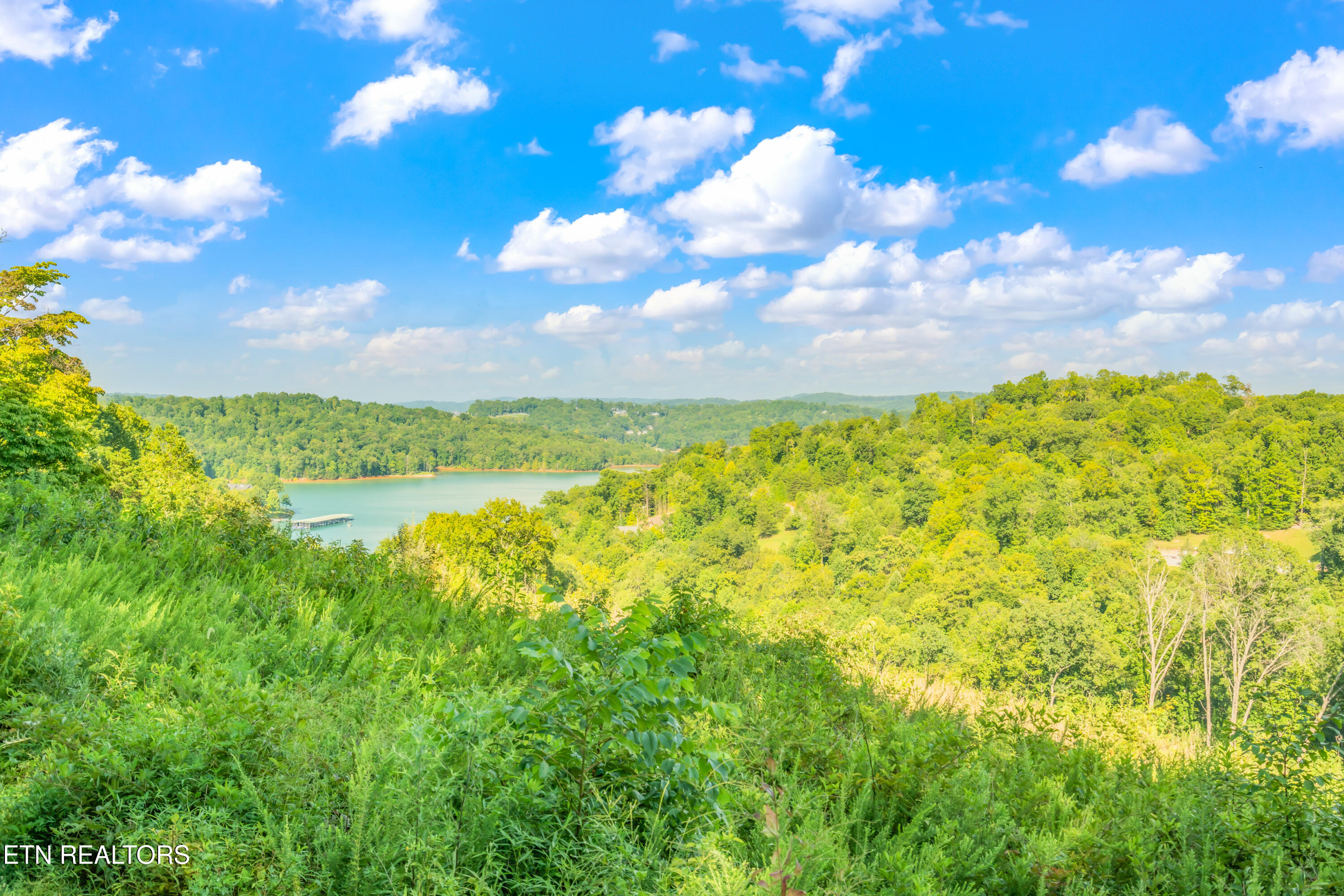 6 Shanghai Landing Lane Lafollette TN 37766