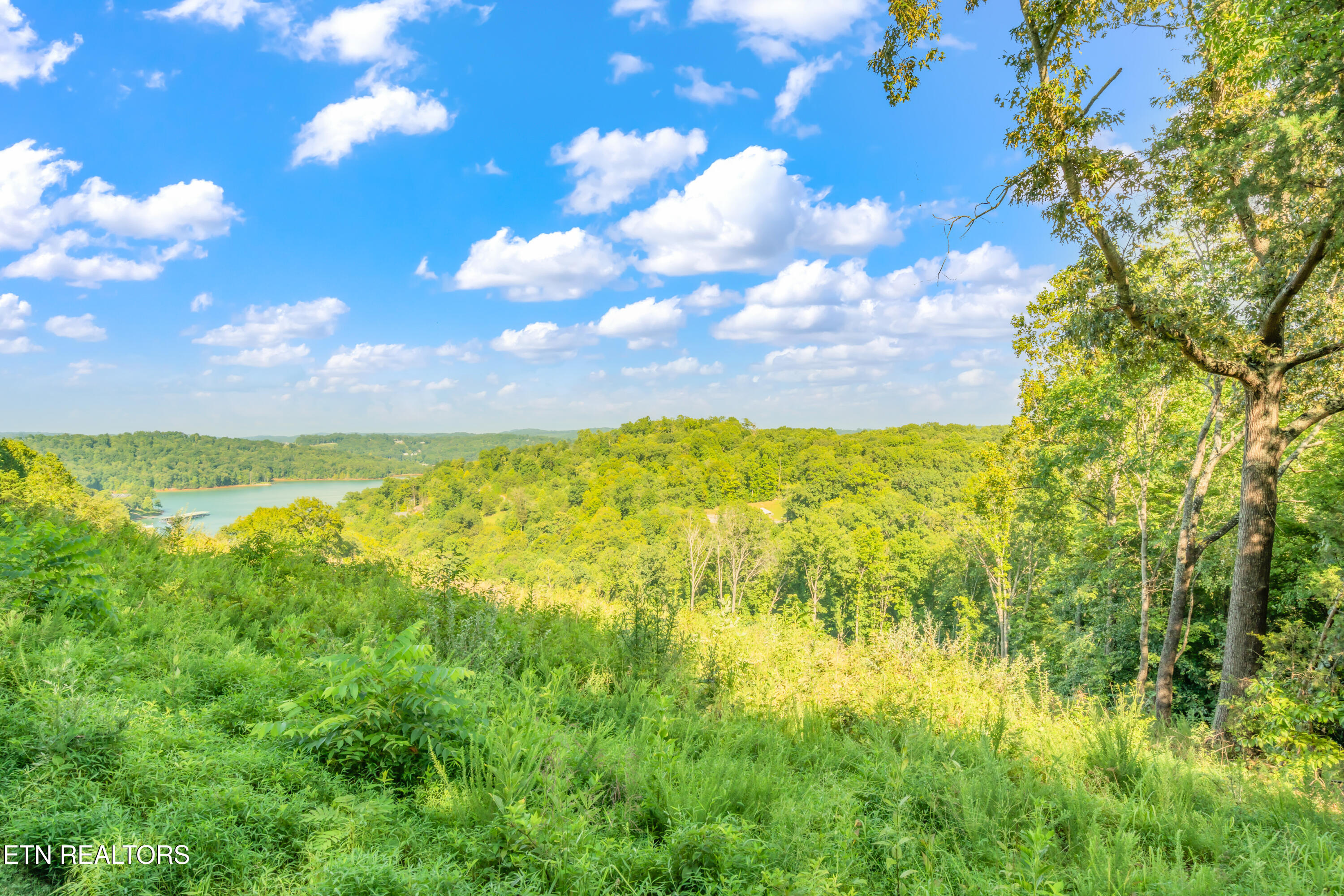 6 Shanghai Landing Lane Lafollette TN 37766