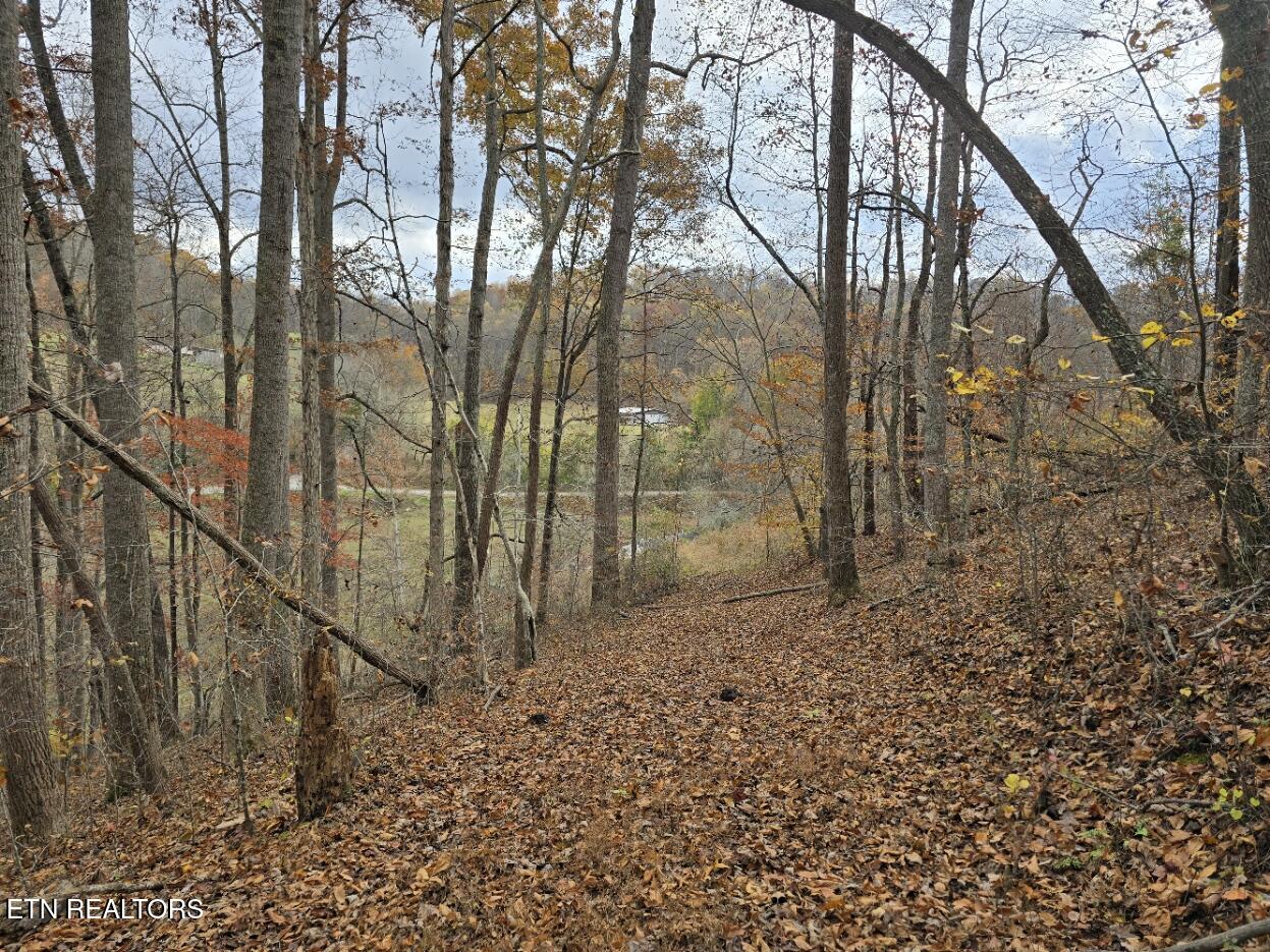 3263 Trents Chapel Road Sneedville TN 37869