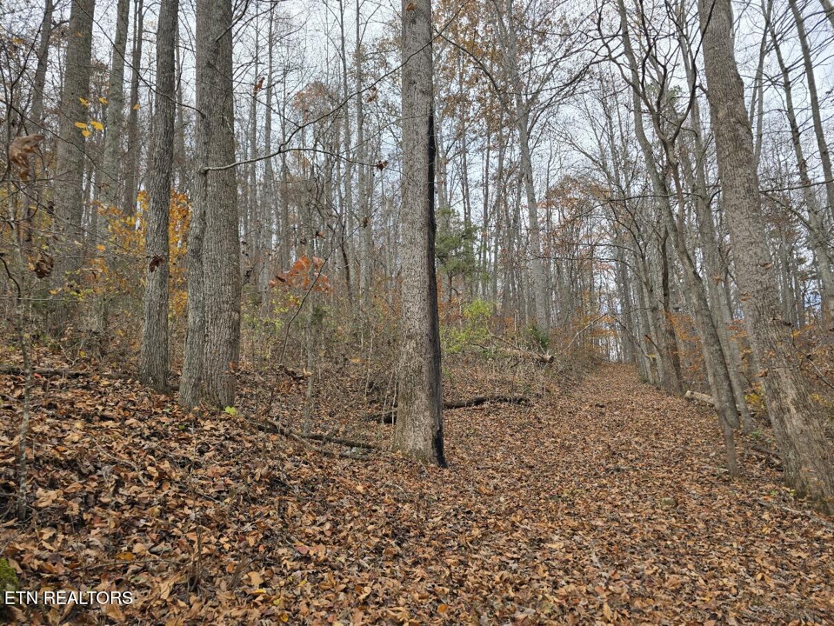 3263 Trents Chapel Road Sneedville TN 37869