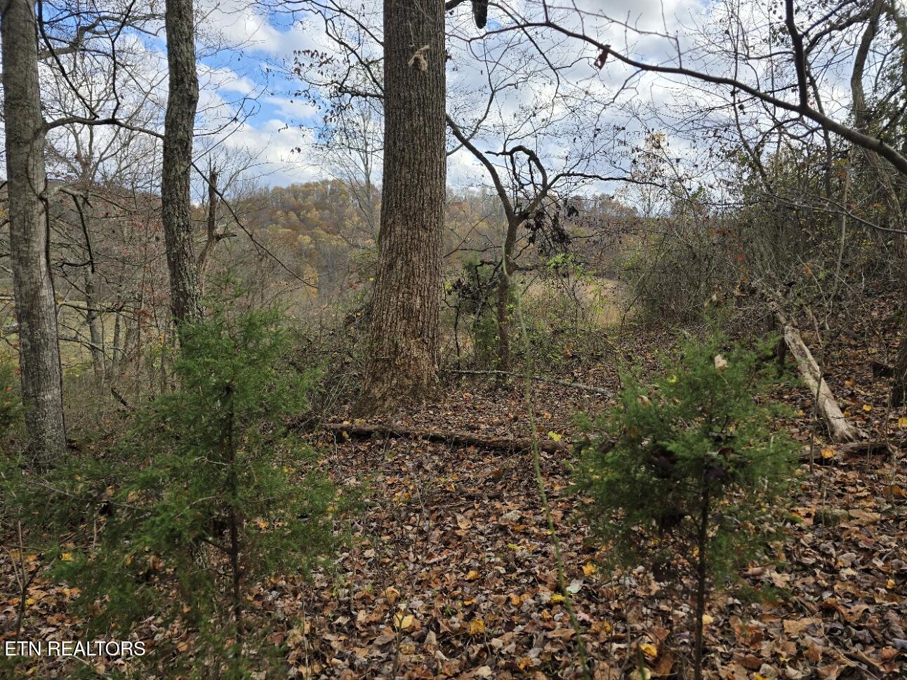 3263 Trents Chapel Road Sneedville TN 37869