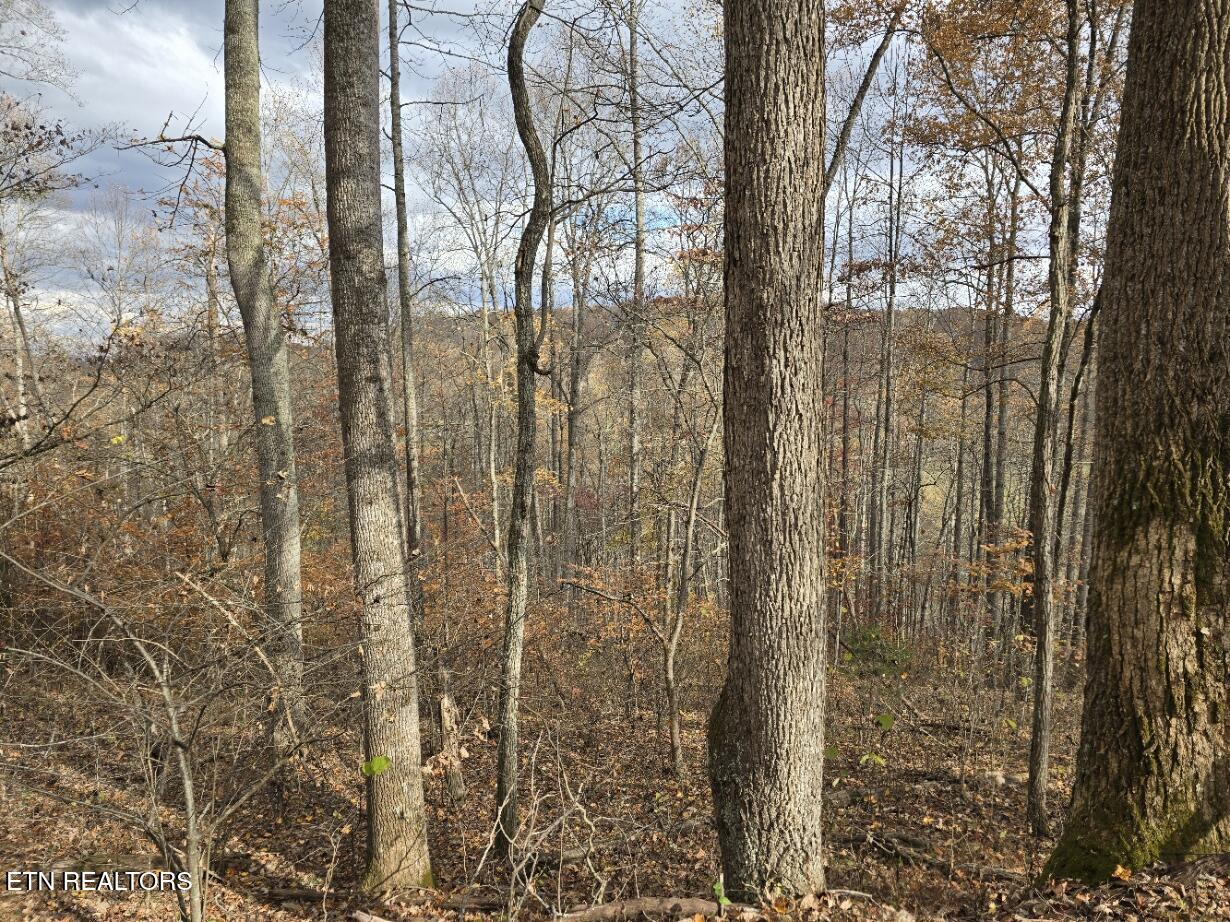 3263 Trents Chapel Road Sneedville TN 37869