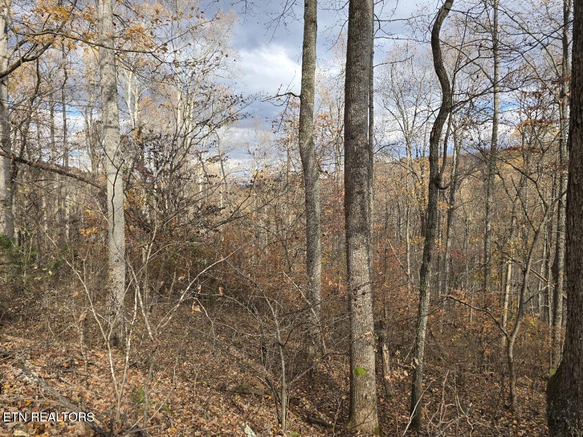 3263 Trents Chapel Road Sneedville TN 37869