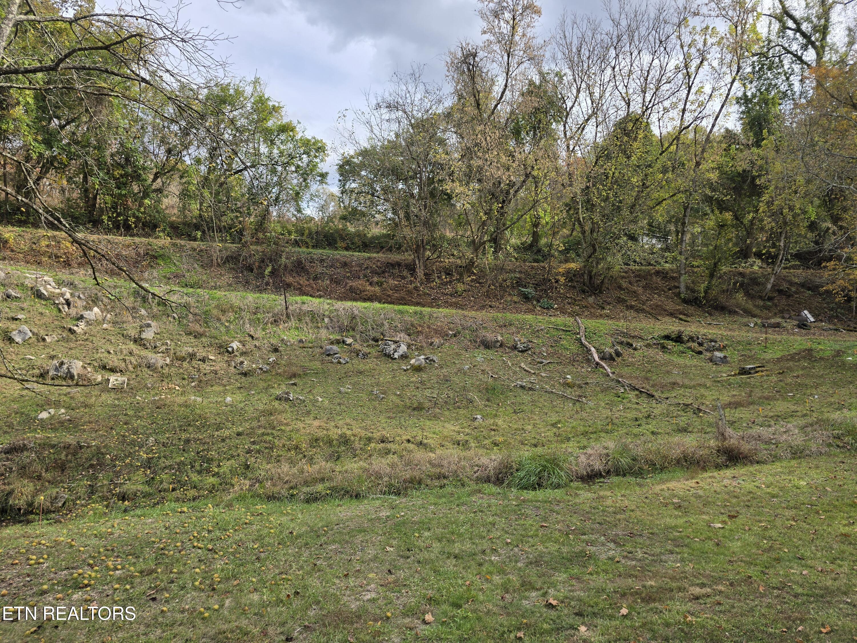 3263 Trents Chapel Road Sneedville TN 37869