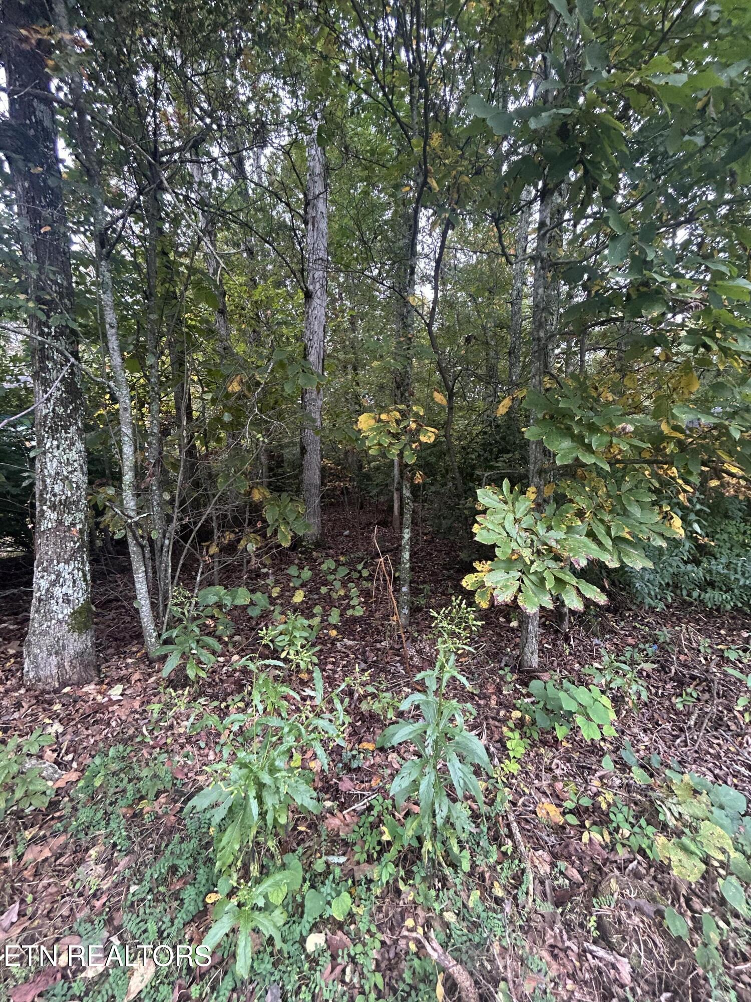 120 Meadowview Drive Crossville TN 38558