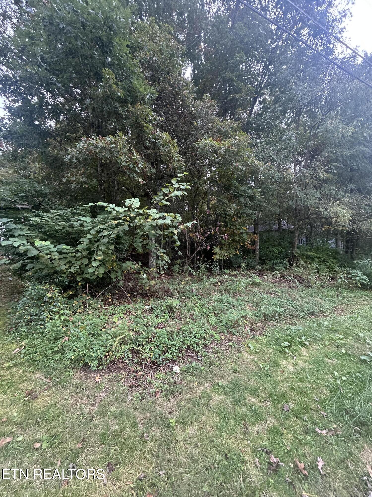 120 Meadowview Drive Crossville TN 38558