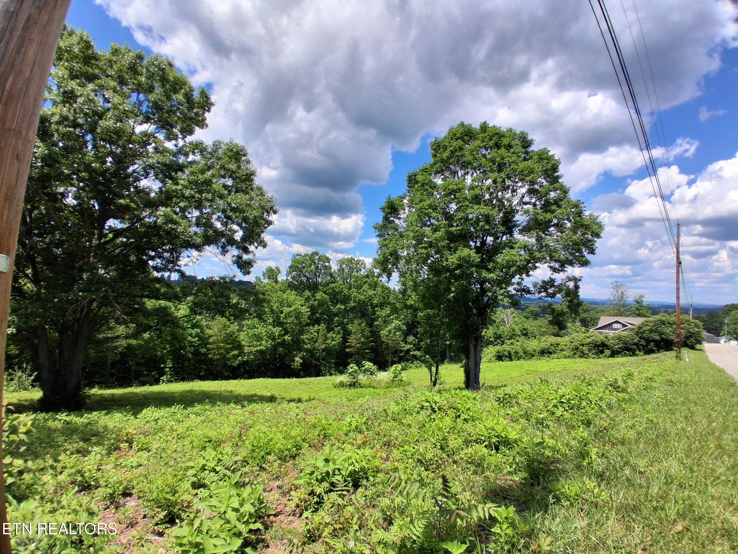 336 Woodstock Drive Rutledge TN 37861