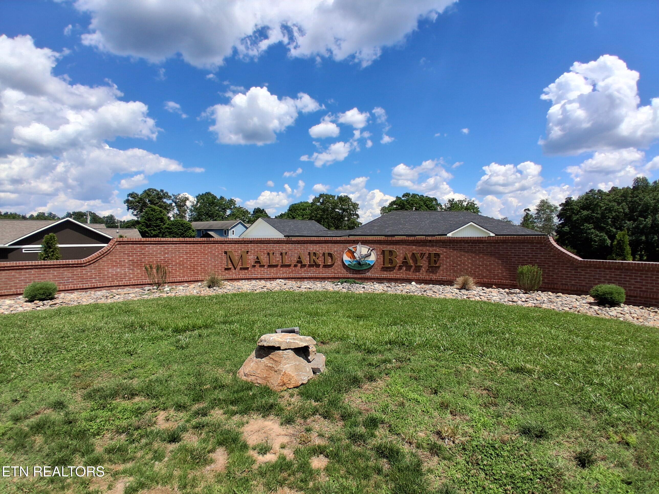 336 Woodstock Drive Rutledge TN 37861
