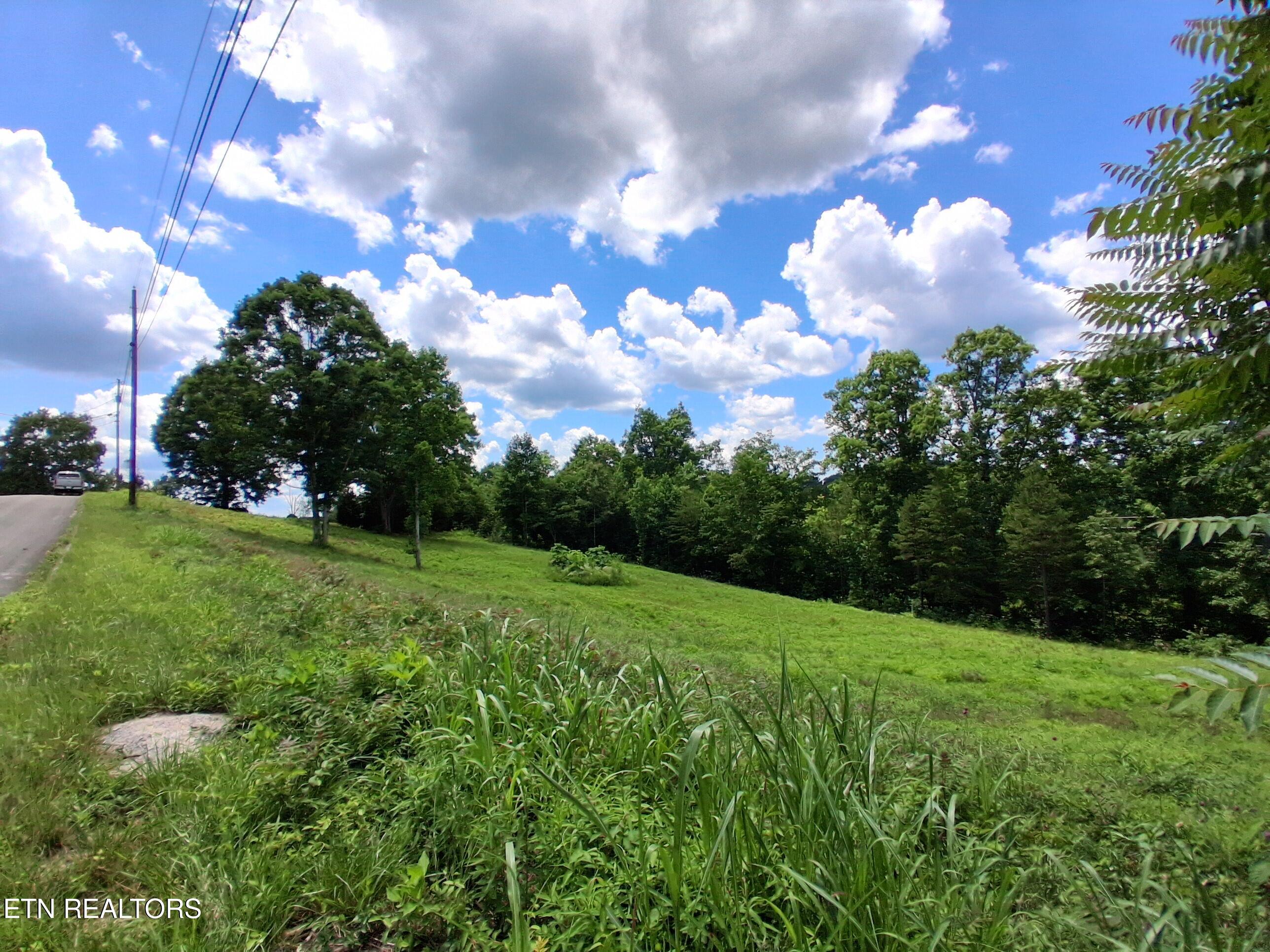 336 Woodstock Drive Rutledge TN 37861