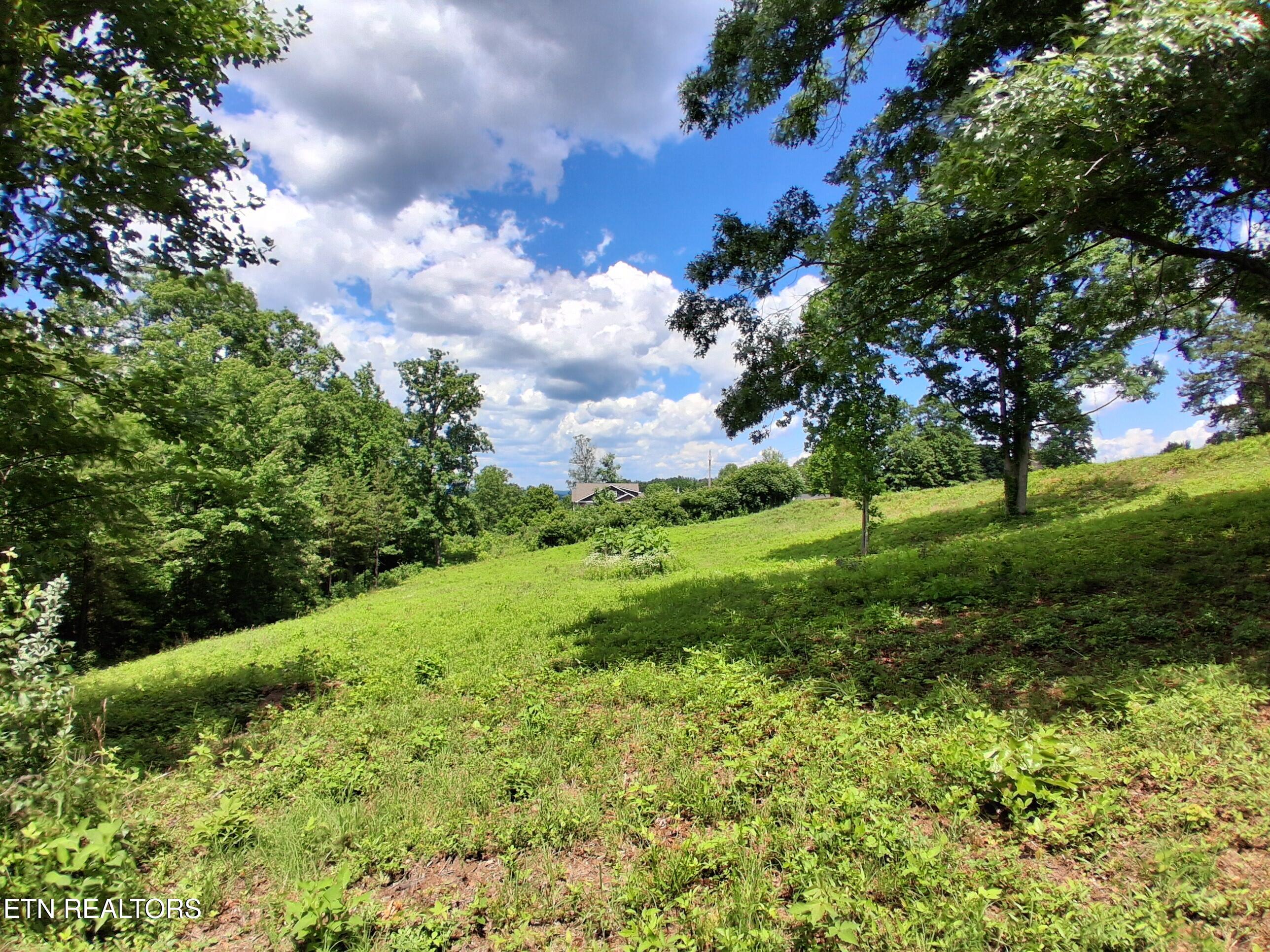 336 Woodstock Drive Rutledge TN 37861