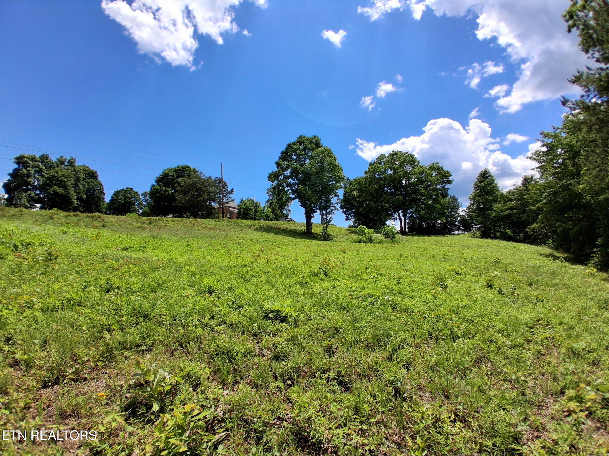 336 Woodstock Drive Rutledge TN 37861