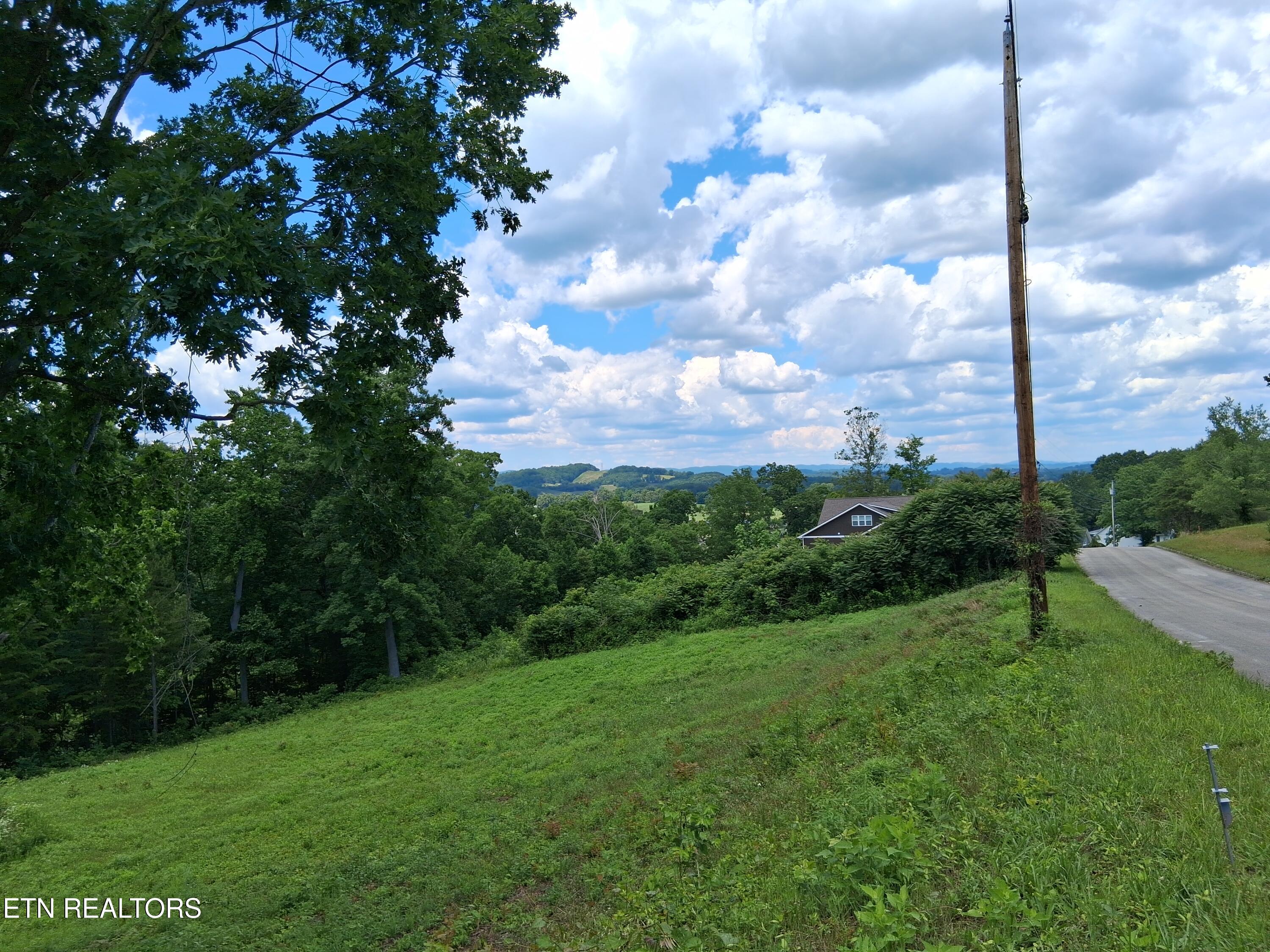 336 Woodstock Drive Rutledge TN 37861