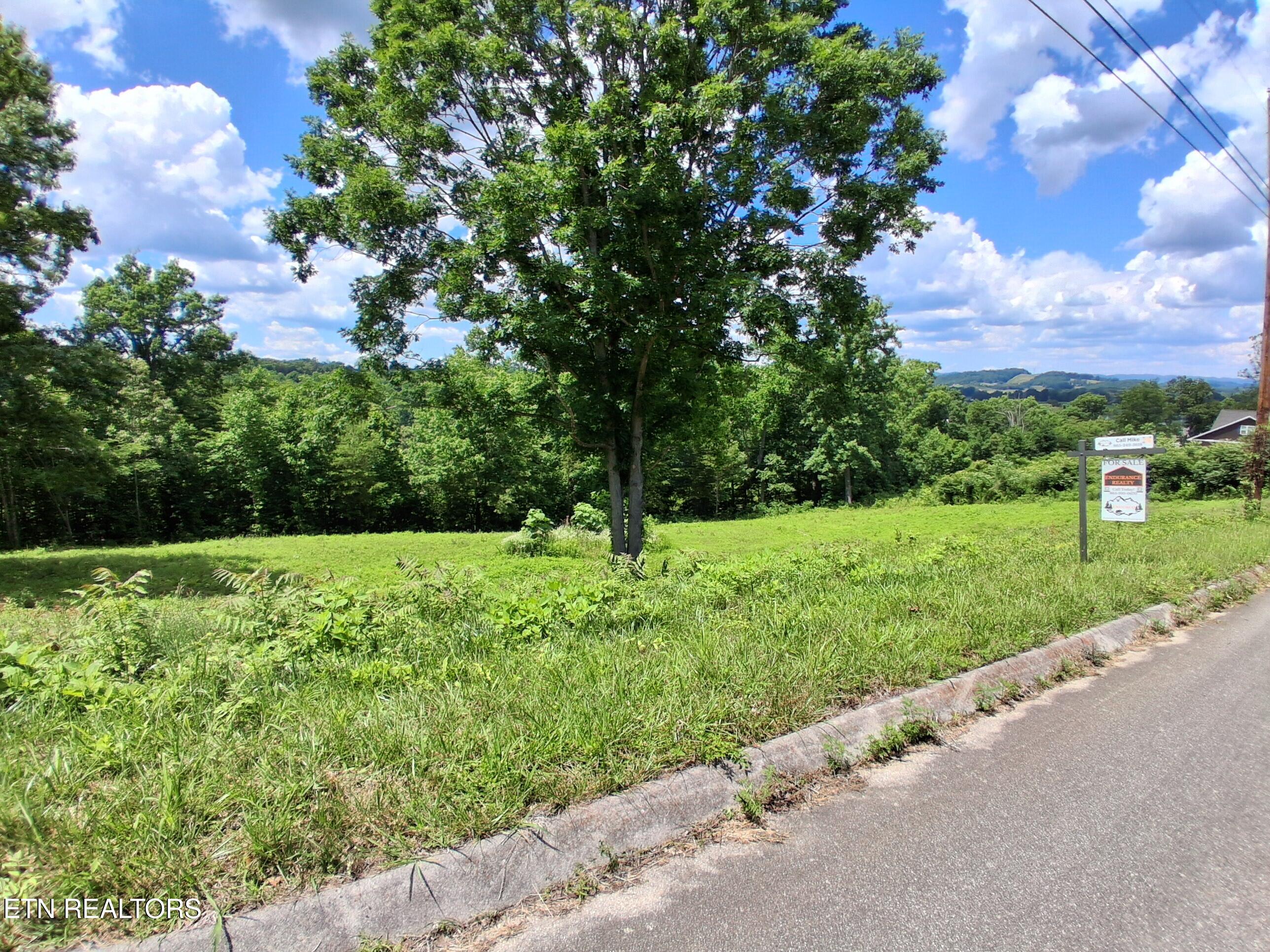 336 Woodstock Drive Rutledge TN 37861