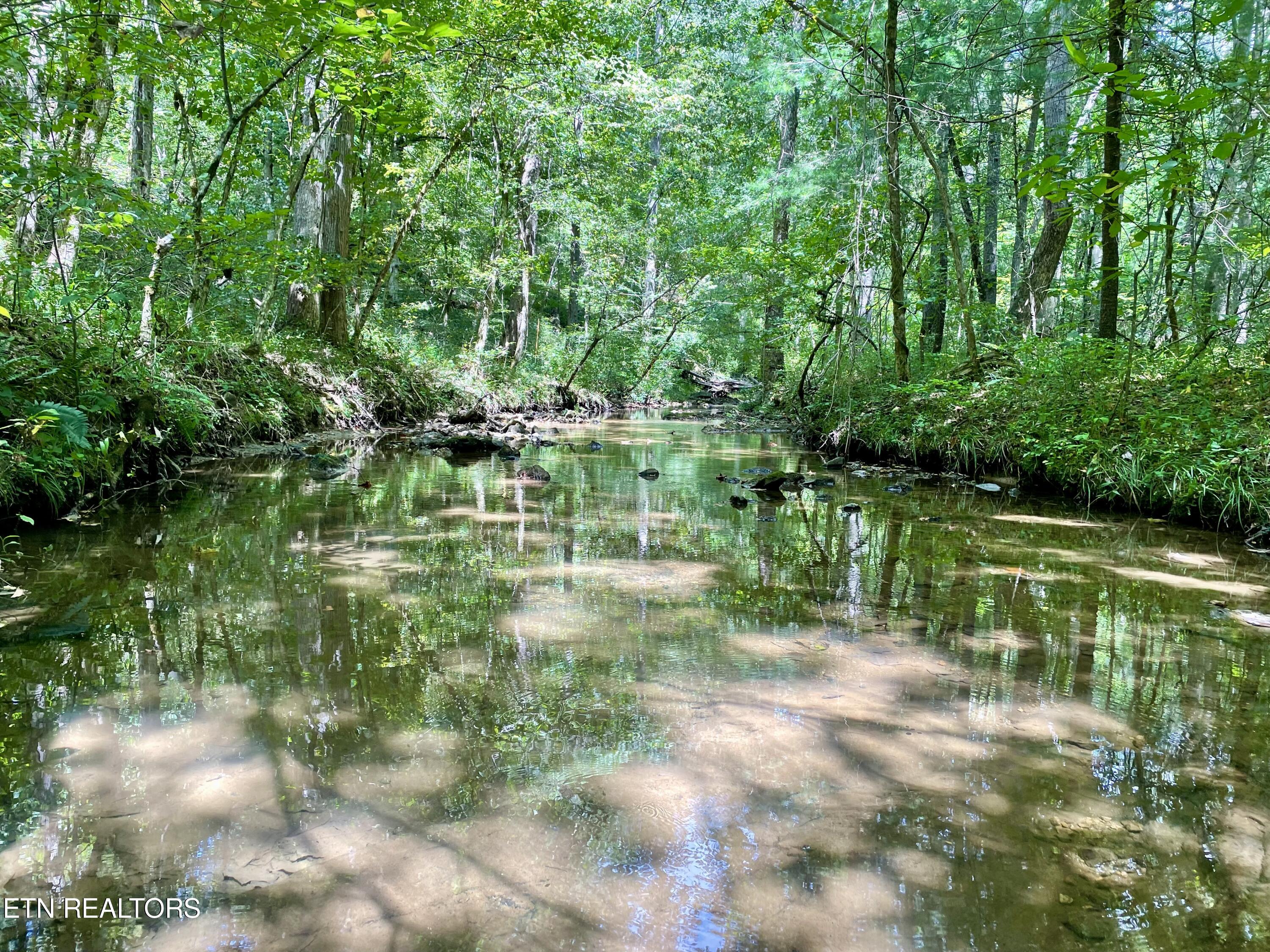 400 Little Dogwood Valley Road Kingston TN 37763
