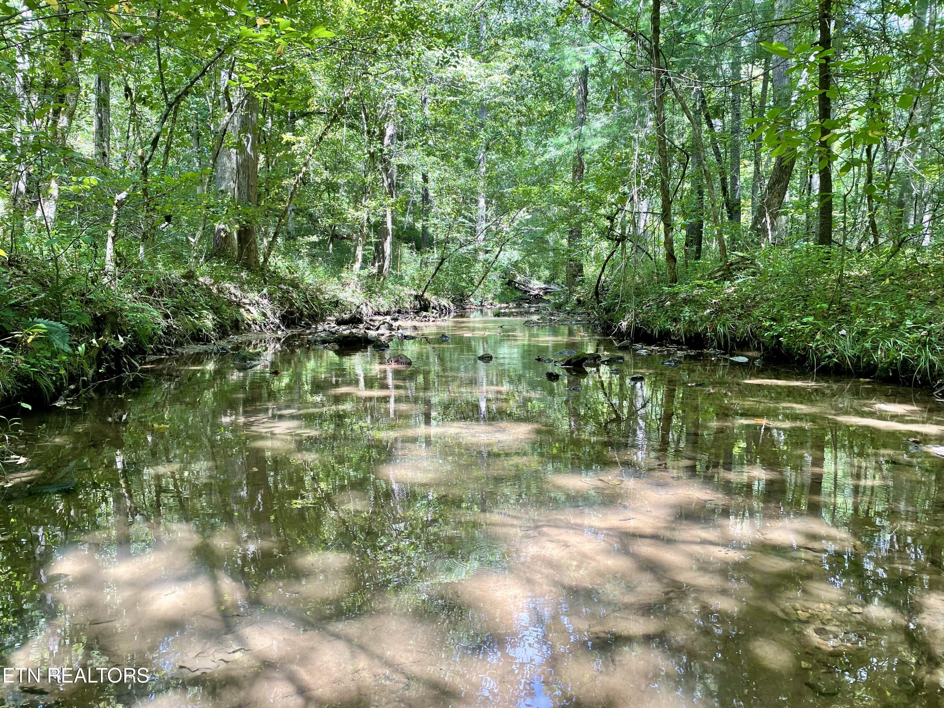 400 Little Dogwood Valley Road Kingston TN 37763
