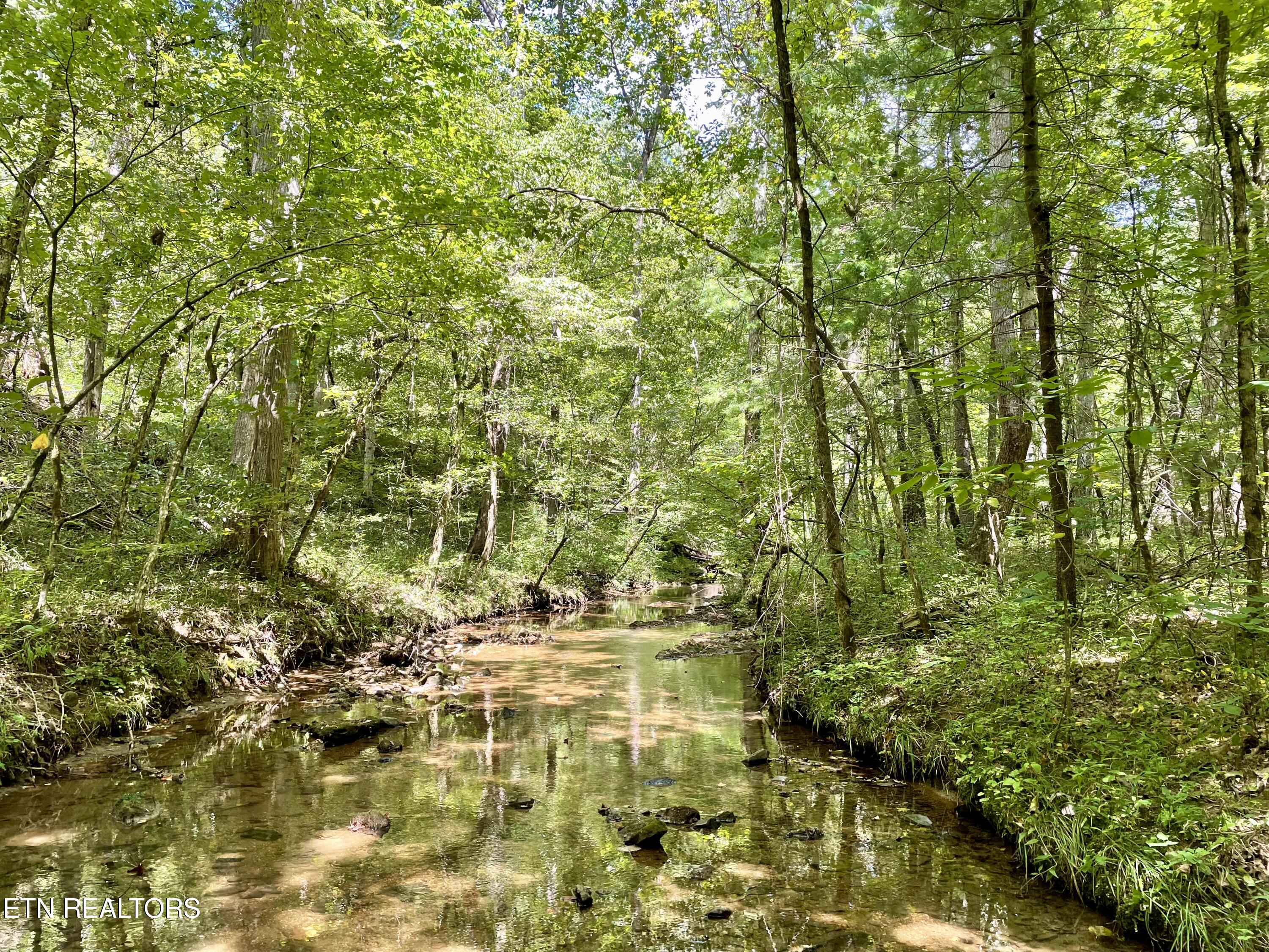 400 Little Dogwood Valley Road Kingston TN 37763