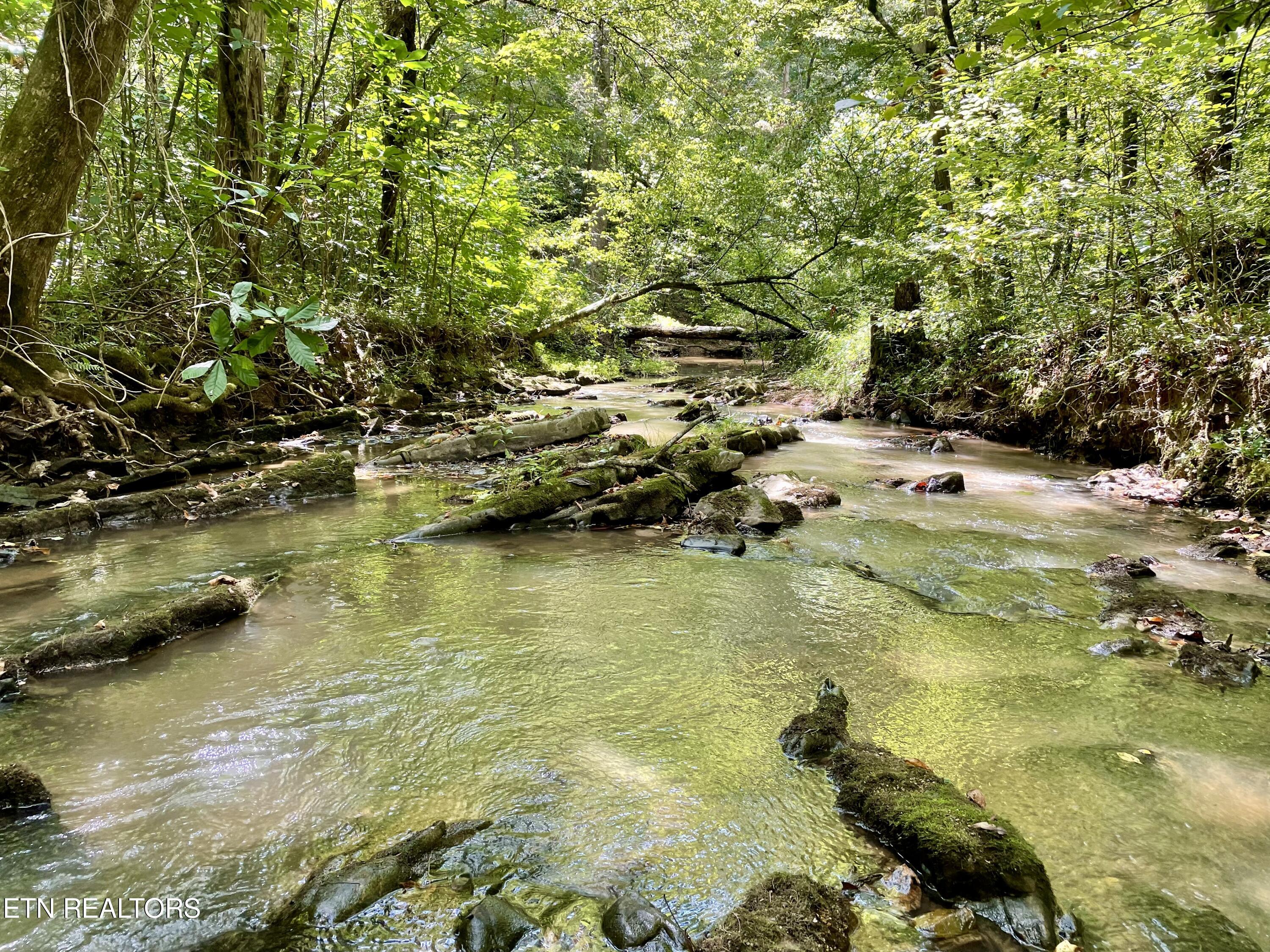 400 Little Dogwood Valley Road Kingston TN 37763
