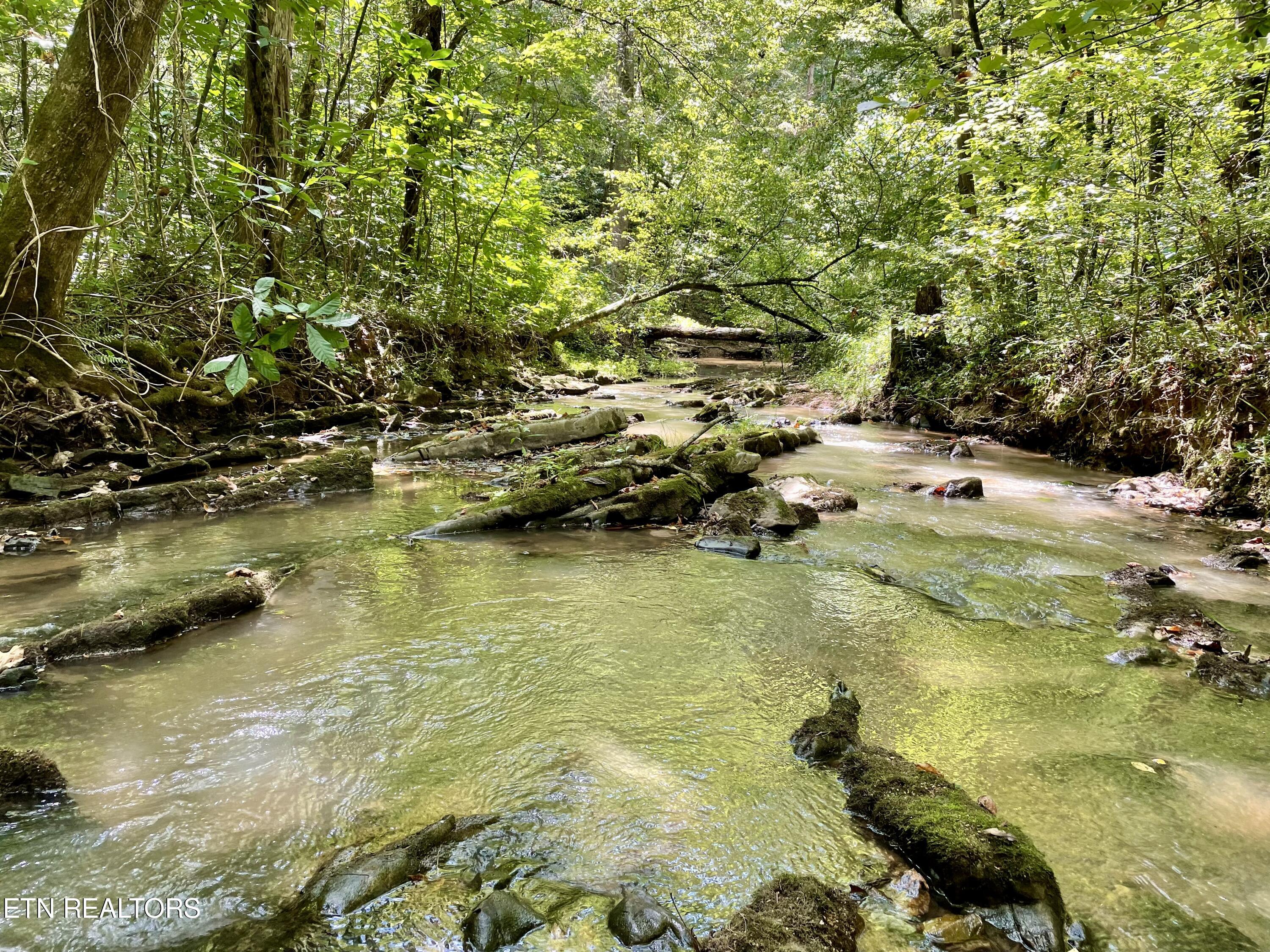 400 Little Dogwood Valley Road Kingston TN 37763