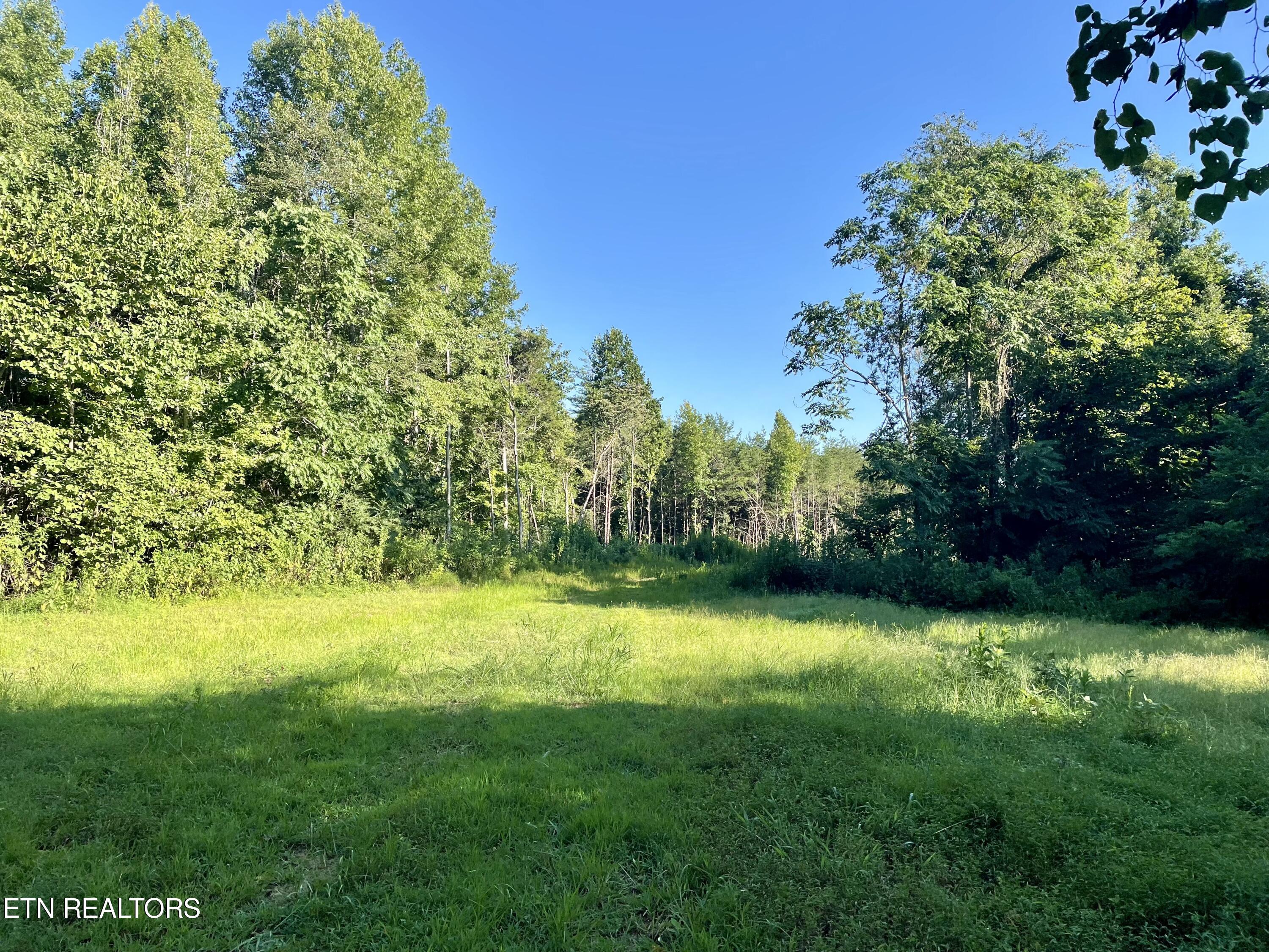 400 Little Dogwood Valley Road Kingston TN 37763
