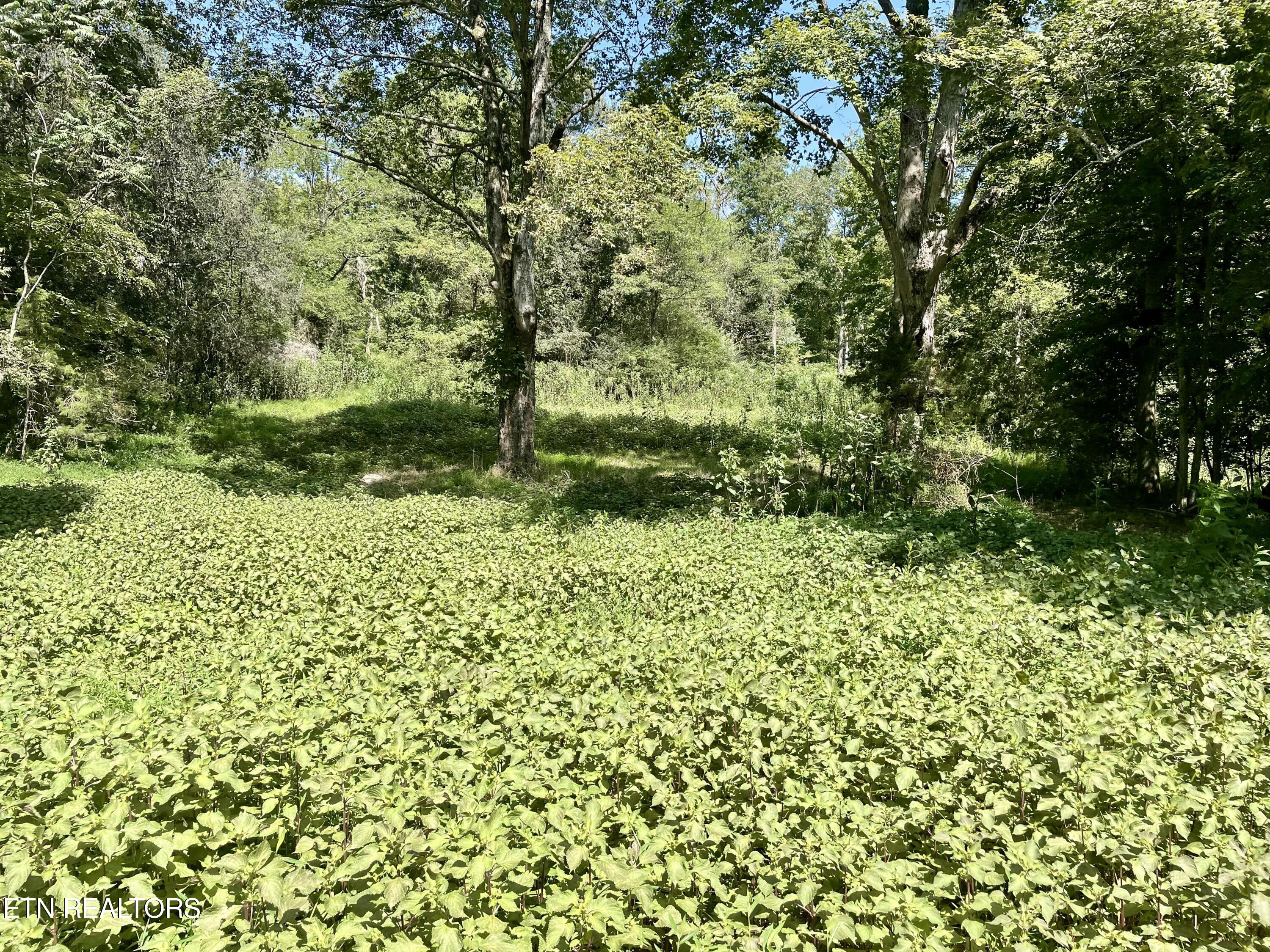 400 Little Dogwood Valley Road Kingston TN 37763