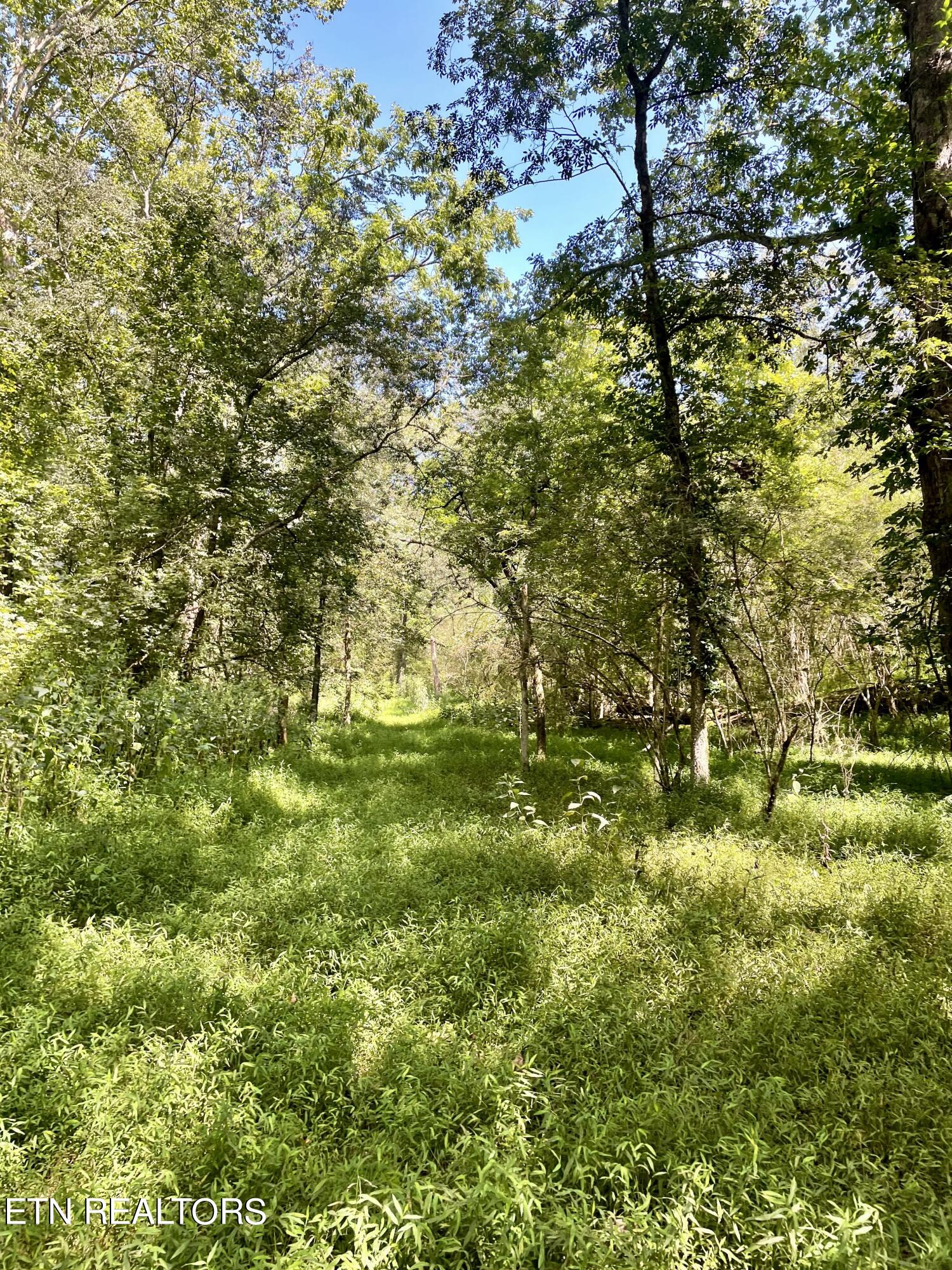400 Little Dogwood Valley Road Kingston TN 37763