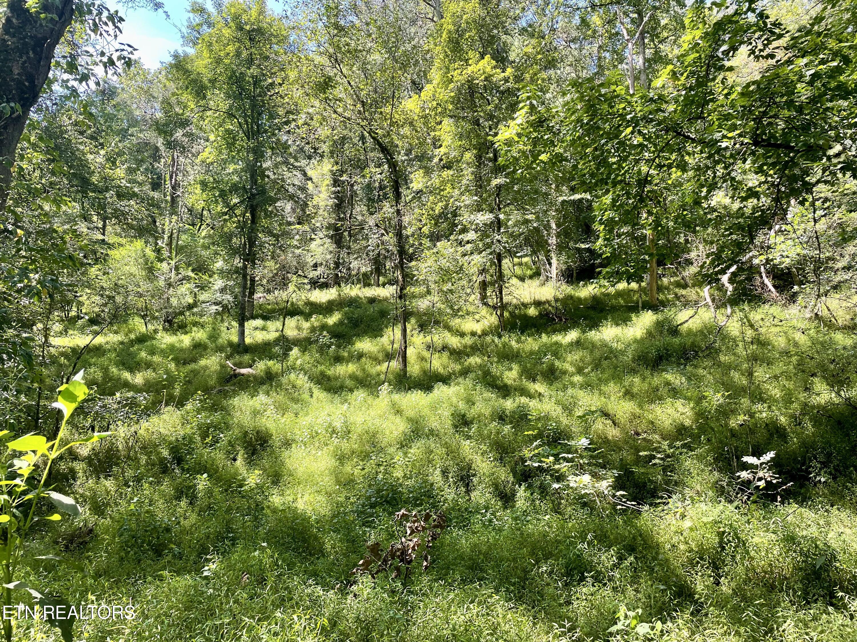 400 Little Dogwood Valley Road Kingston TN 37763
