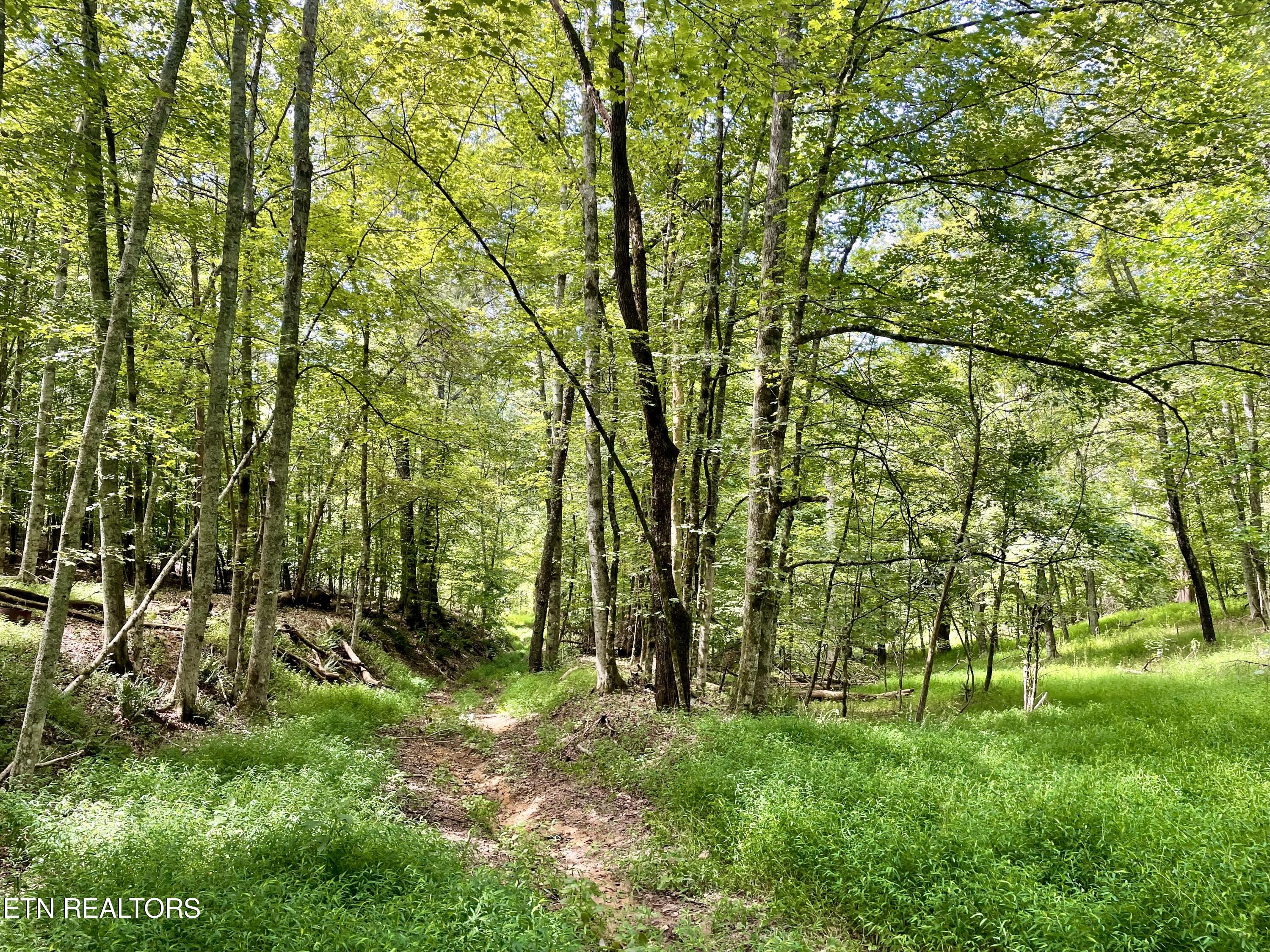 400 Little Dogwood Valley Road Kingston TN 37763