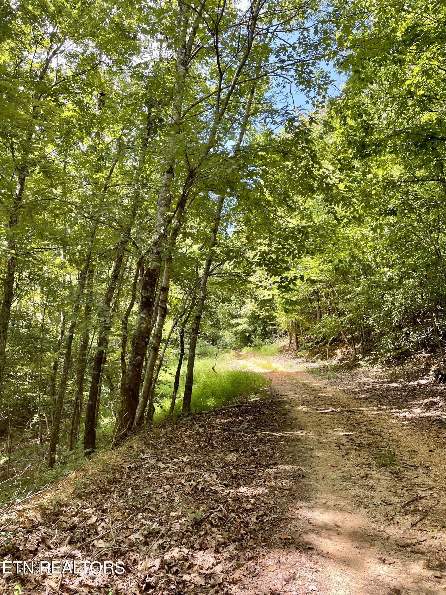 400 Little Dogwood Valley Road Kingston TN 37763
