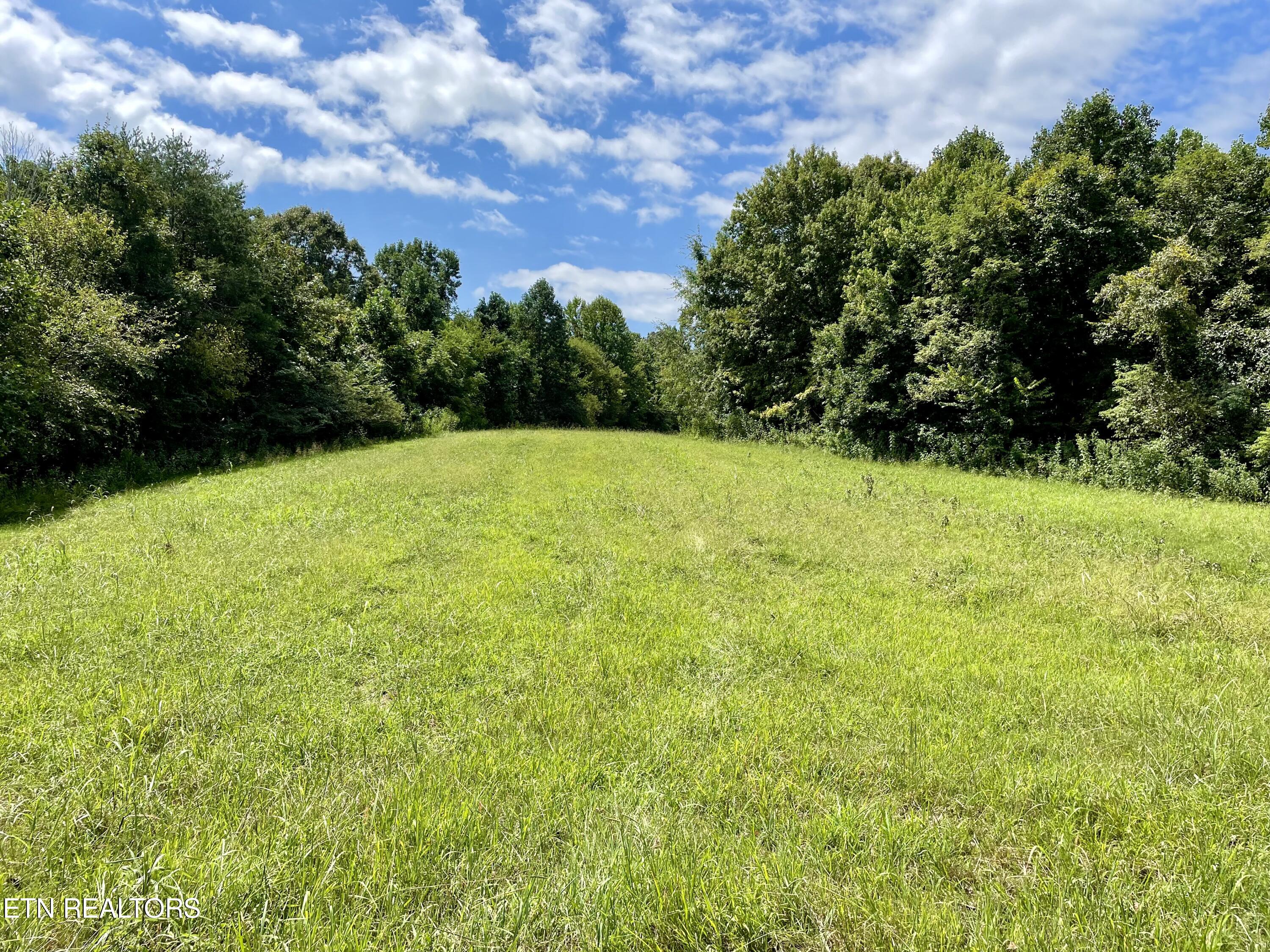 400 Little Dogwood Valley Road Kingston TN 37763