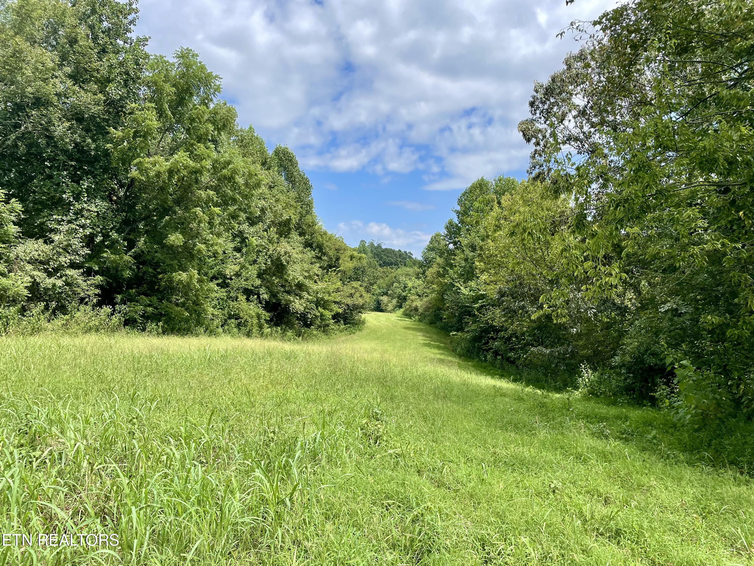 400 Little Dogwood Valley Road Kingston TN 37763