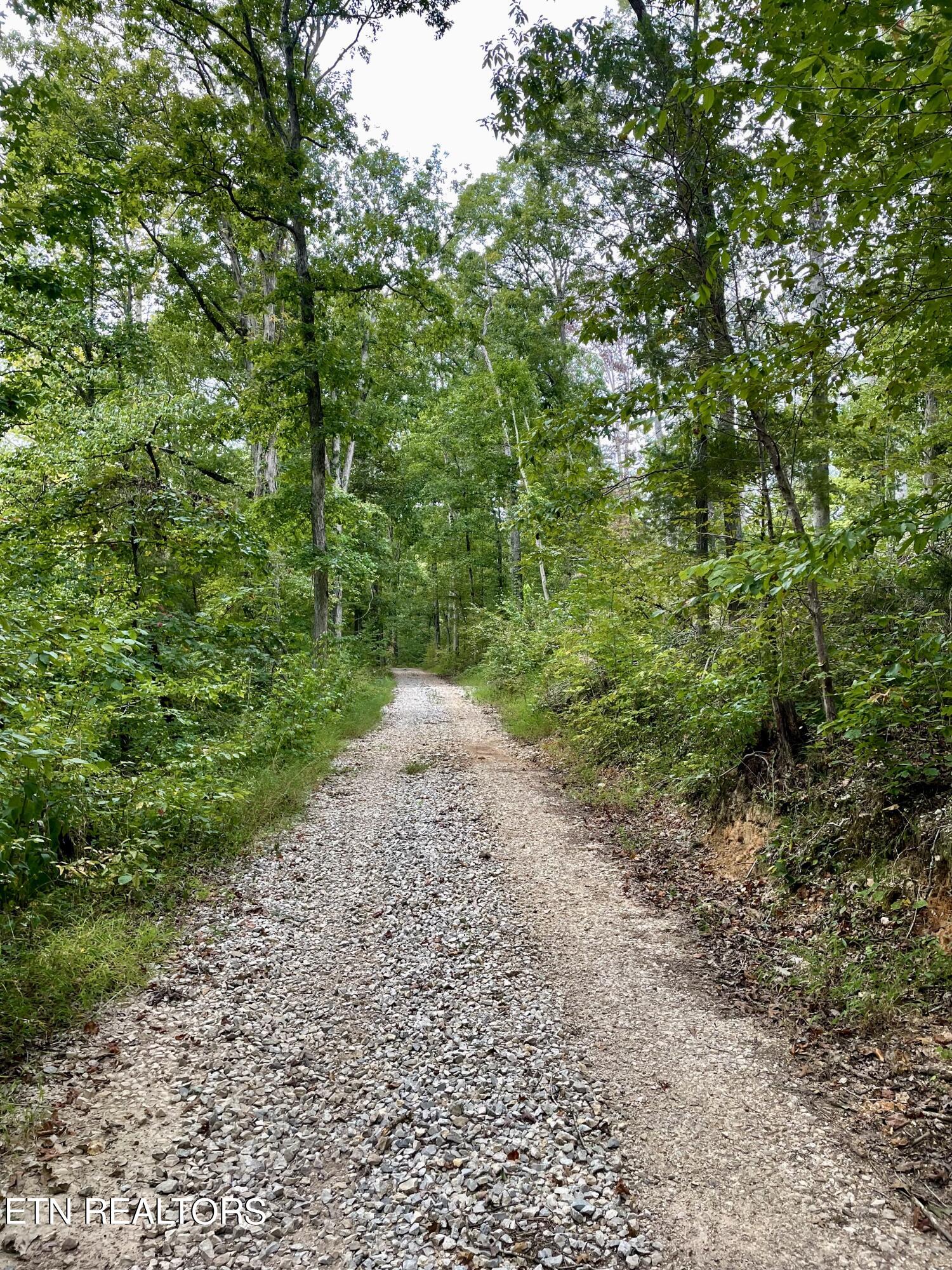 400 Little Dogwood Valley Road Kingston TN 37763