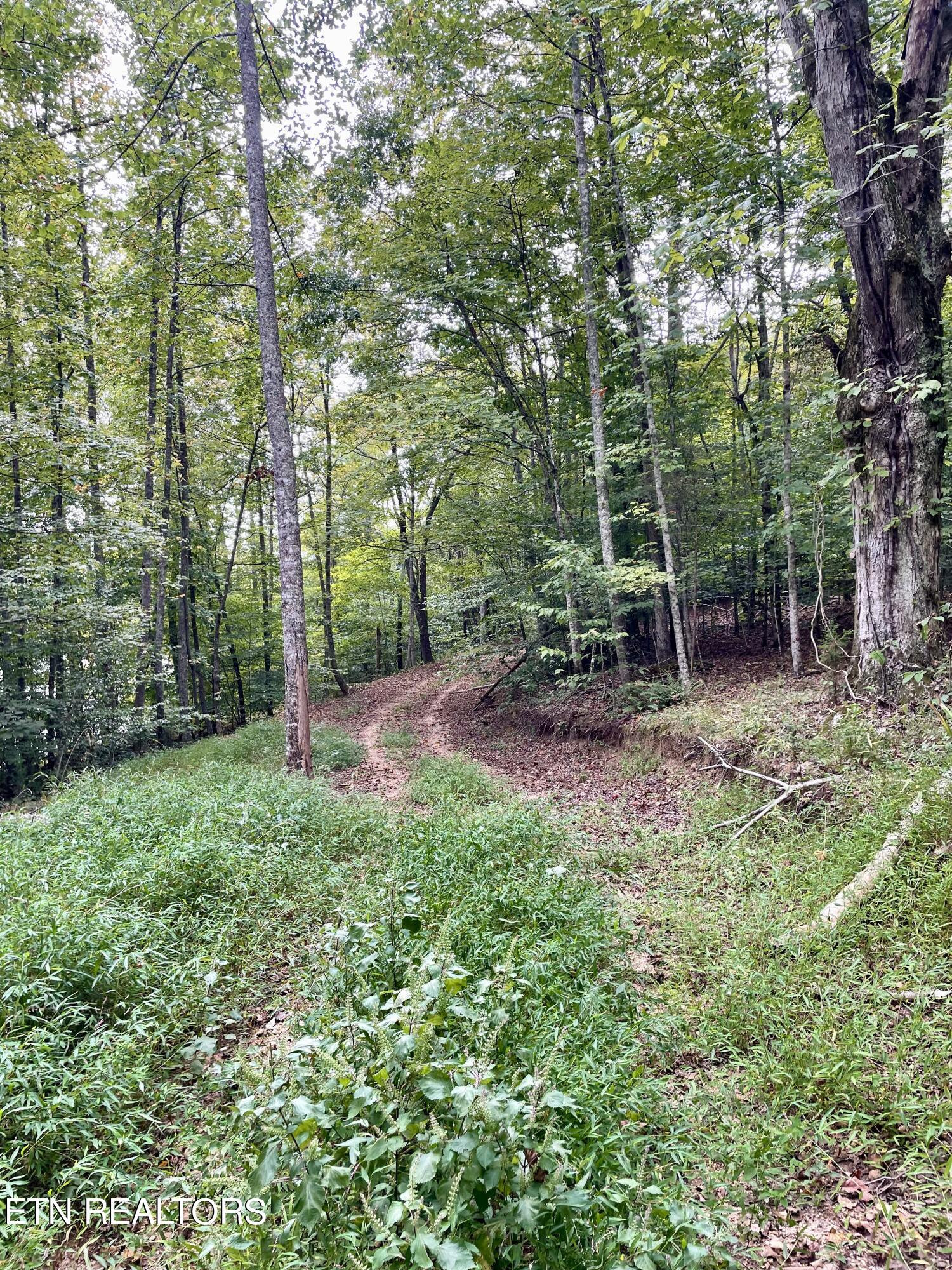 400 Little Dogwood Valley Road Kingston TN 37763