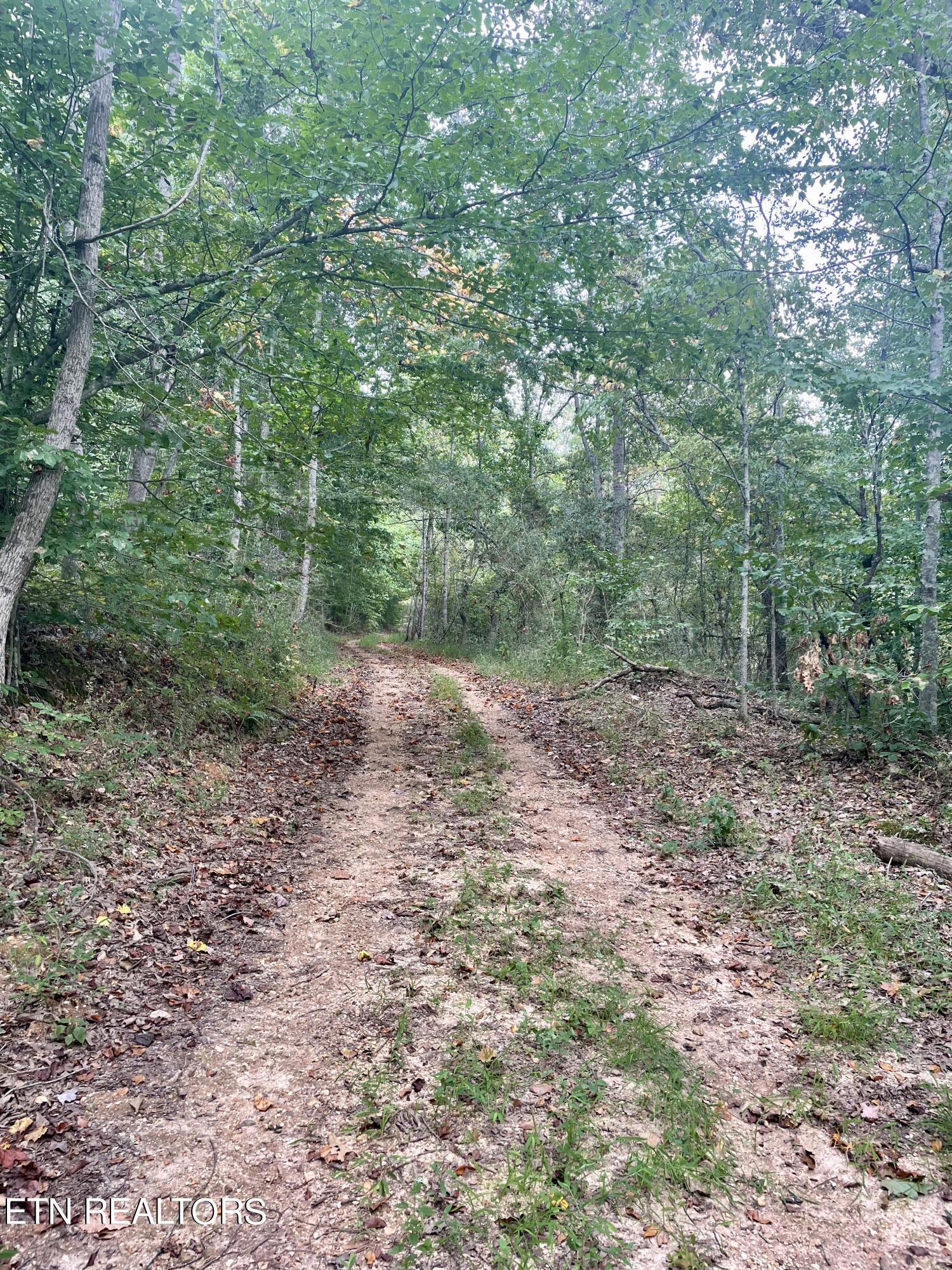 400 Little Dogwood Valley Road Kingston TN 37763