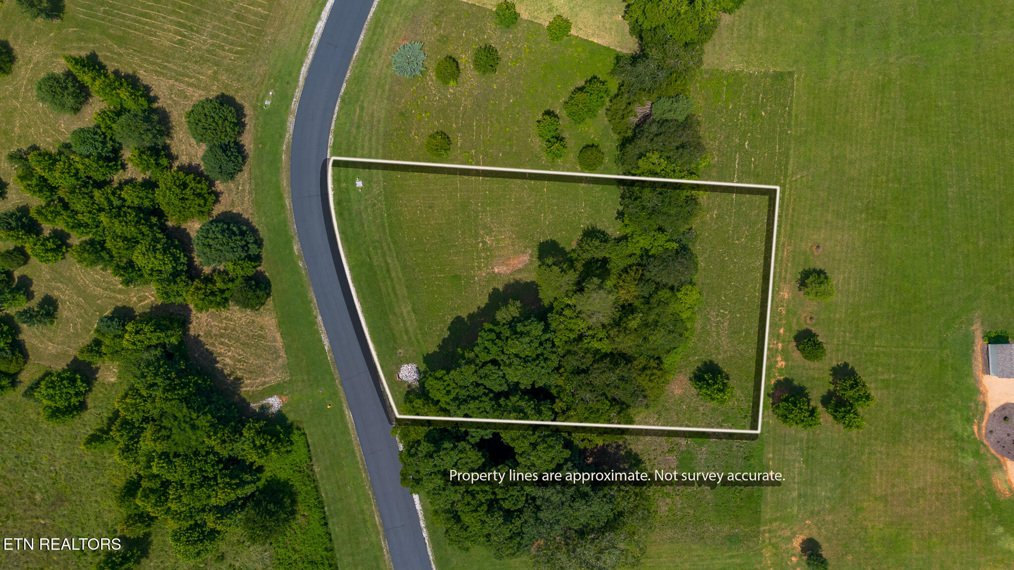 503 W Shore Drive Rockwood TN 37854