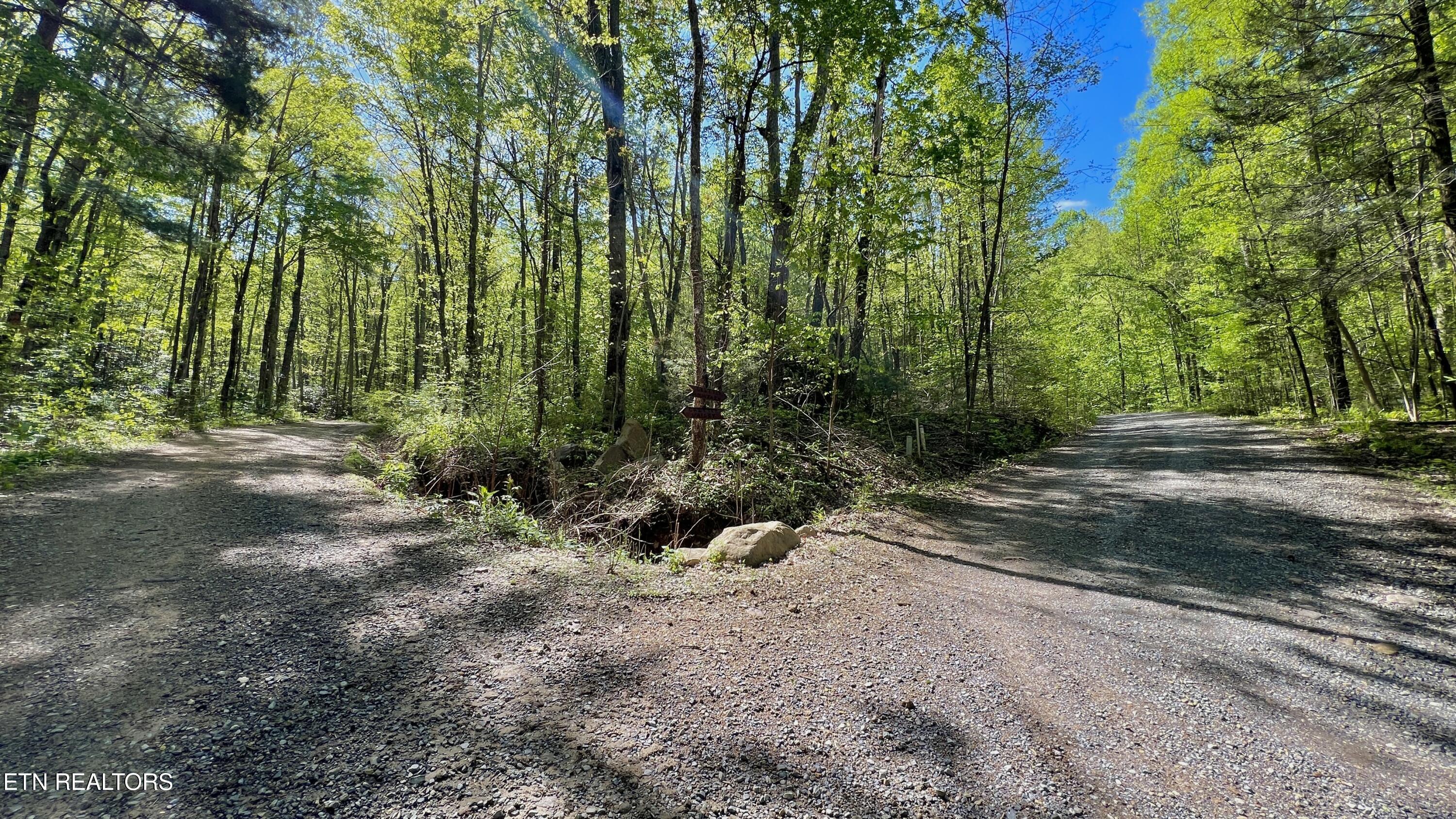 981 Critter Valley Way Newport TN 37821