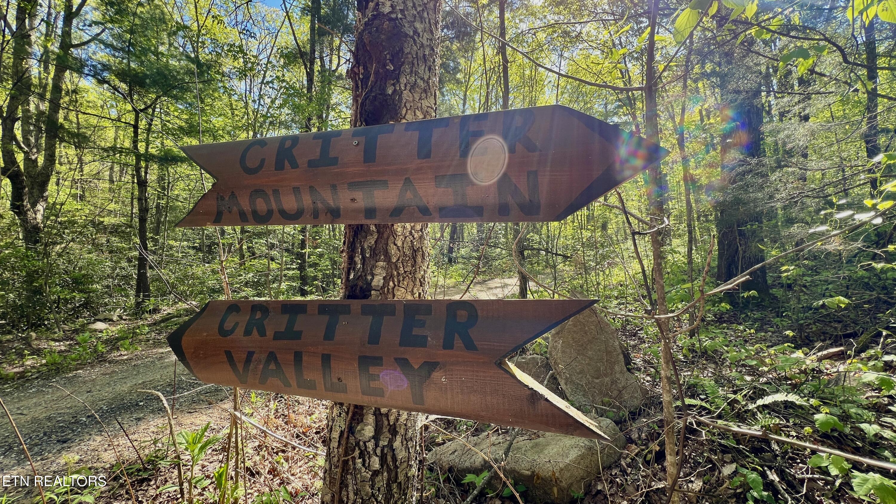 981 Critter Valley Way Newport TN 37821