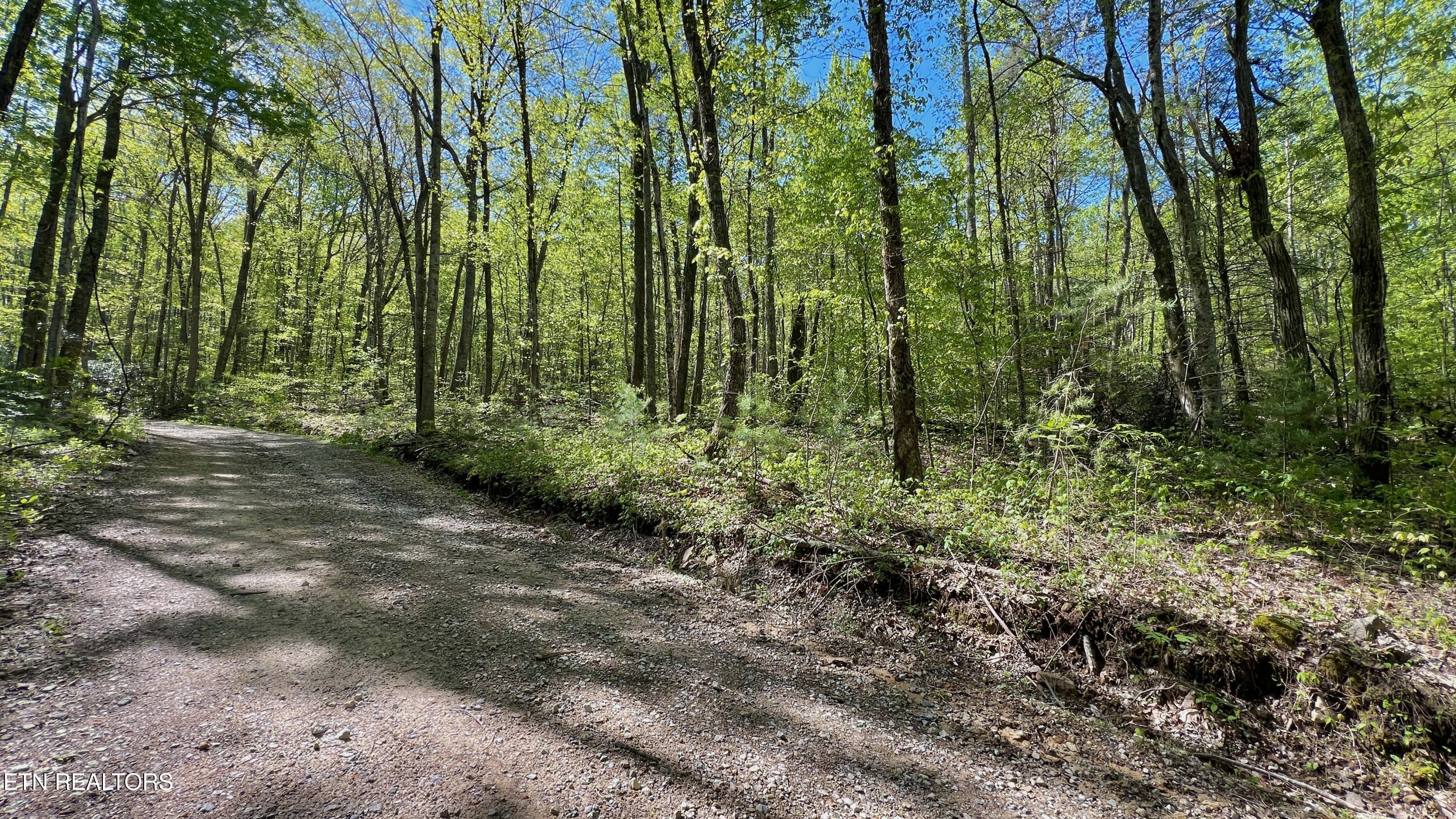 981 Critter Valley Way Newport TN 37821