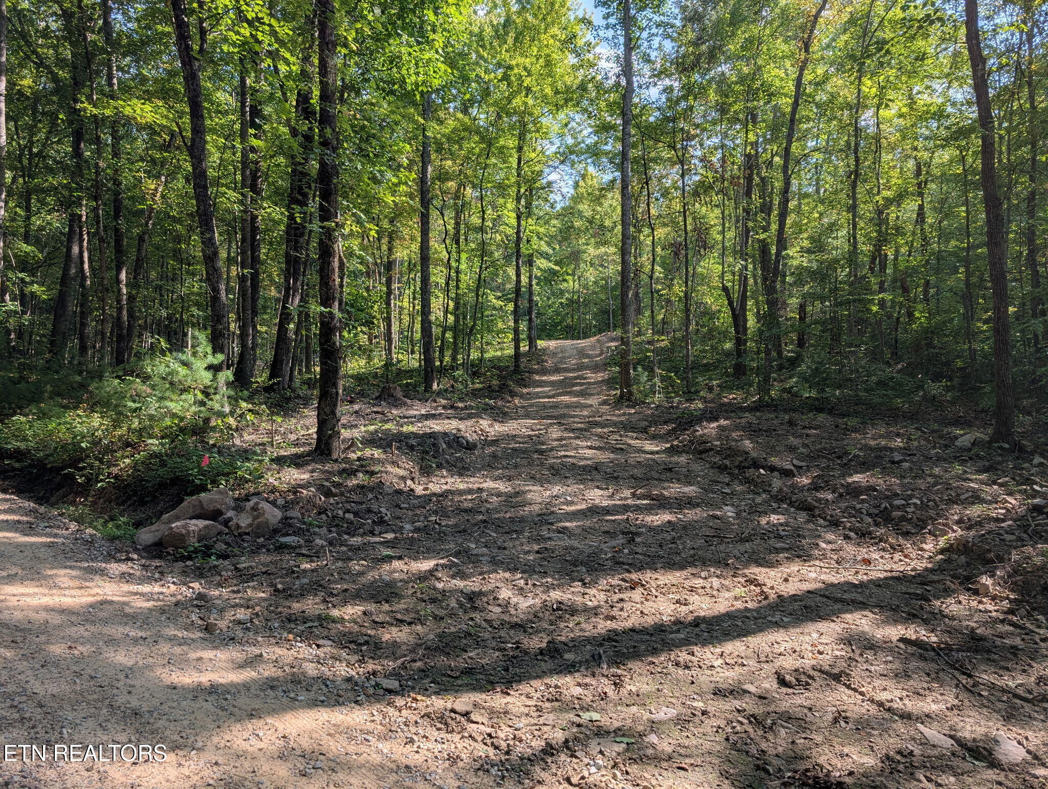 981 Critter Valley Way Newport TN 37821