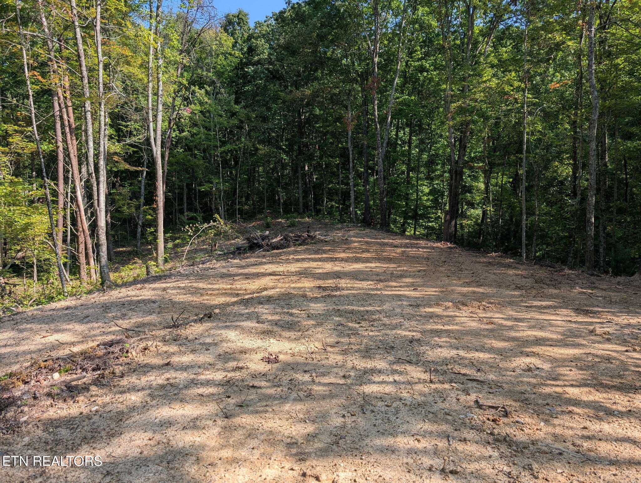981 Critter Valley Way Newport TN 37821