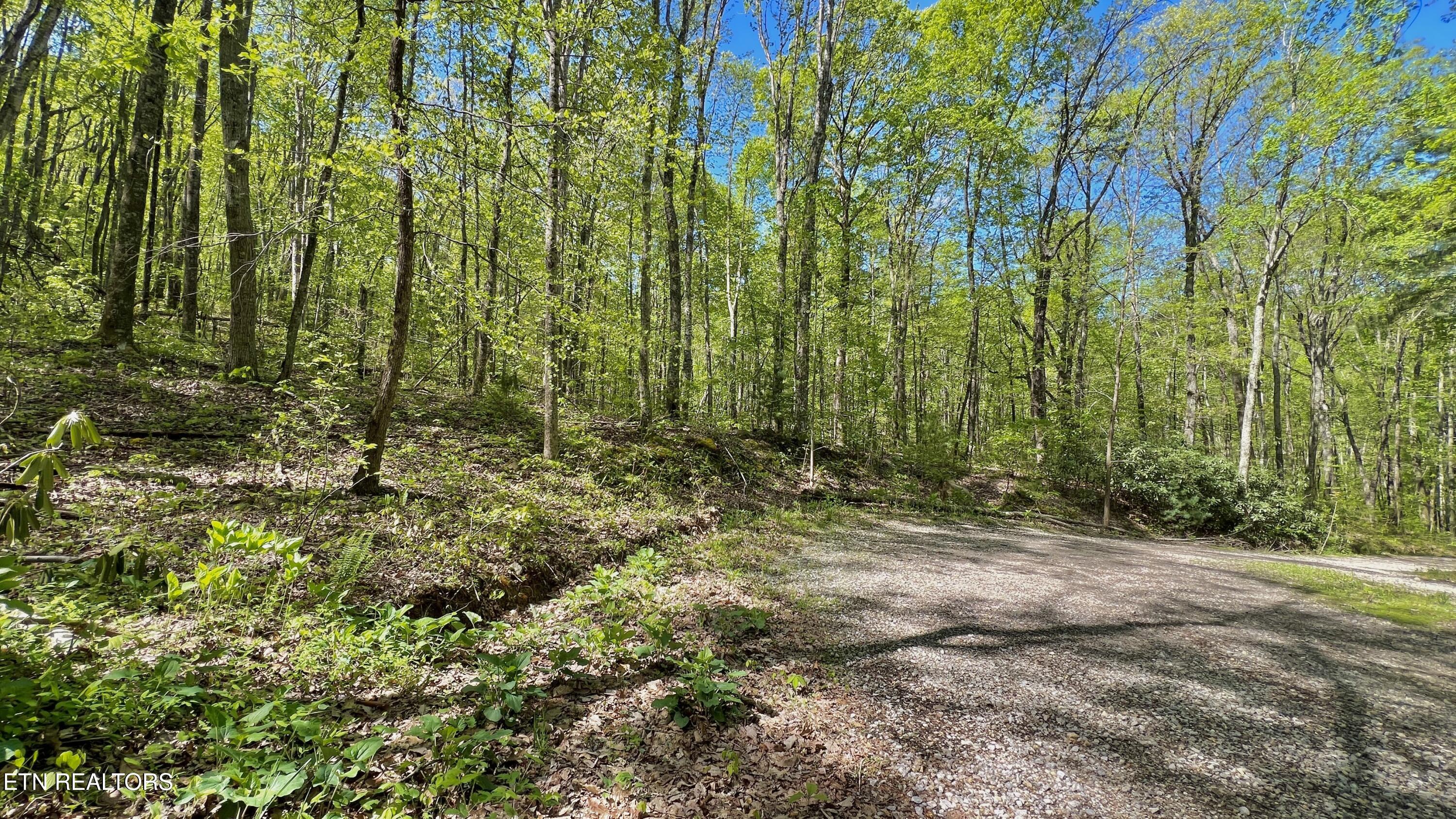 981 Critter Valley Way Newport TN 37821
